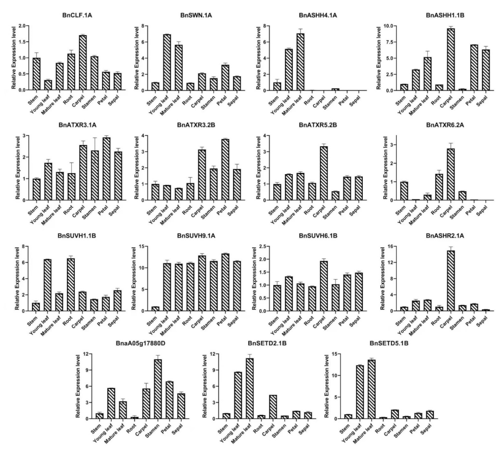 Ijms 23 01936 g008 550