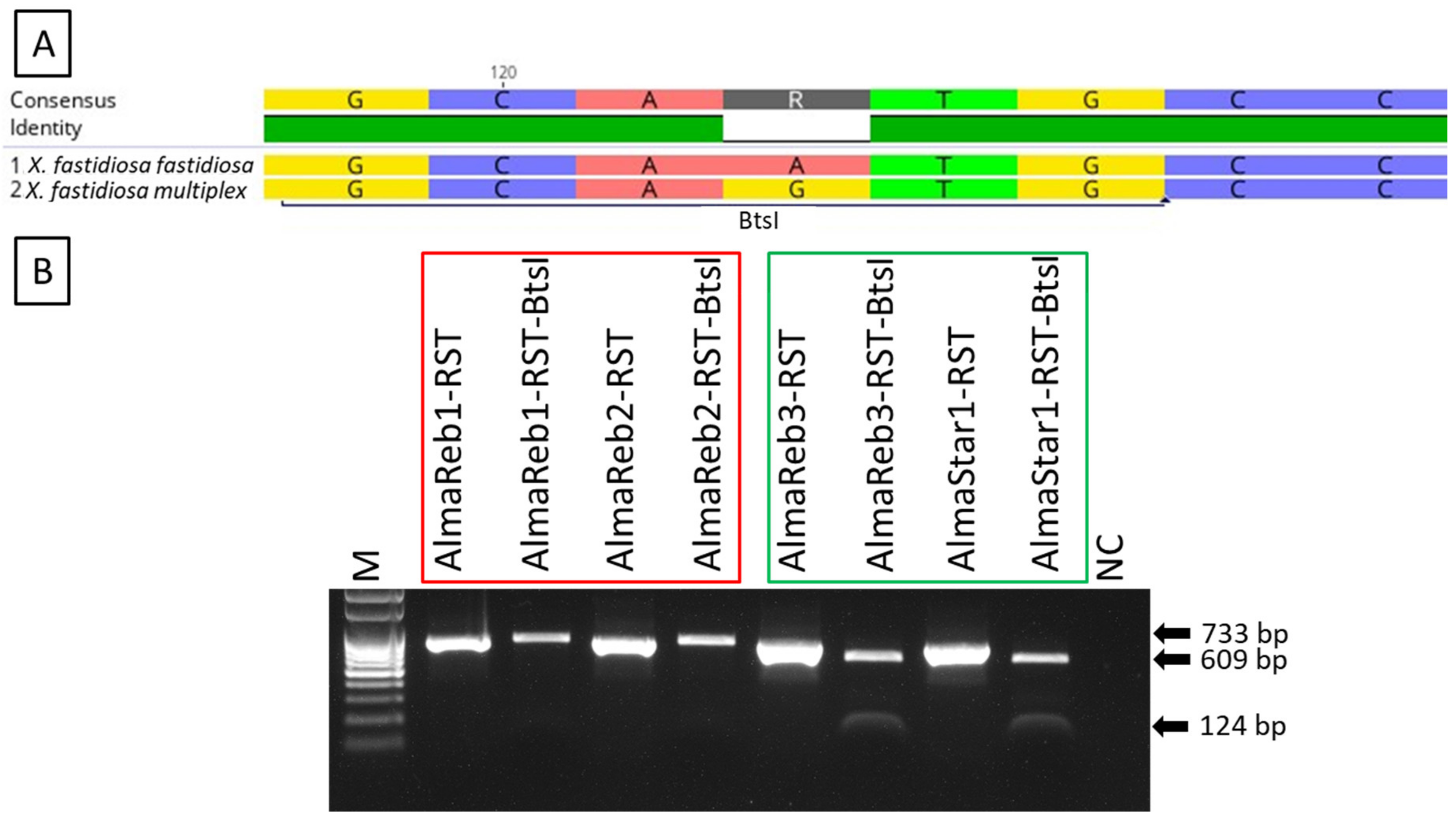 Ijms 23 01937 g001 Ijms 23 01937 g001