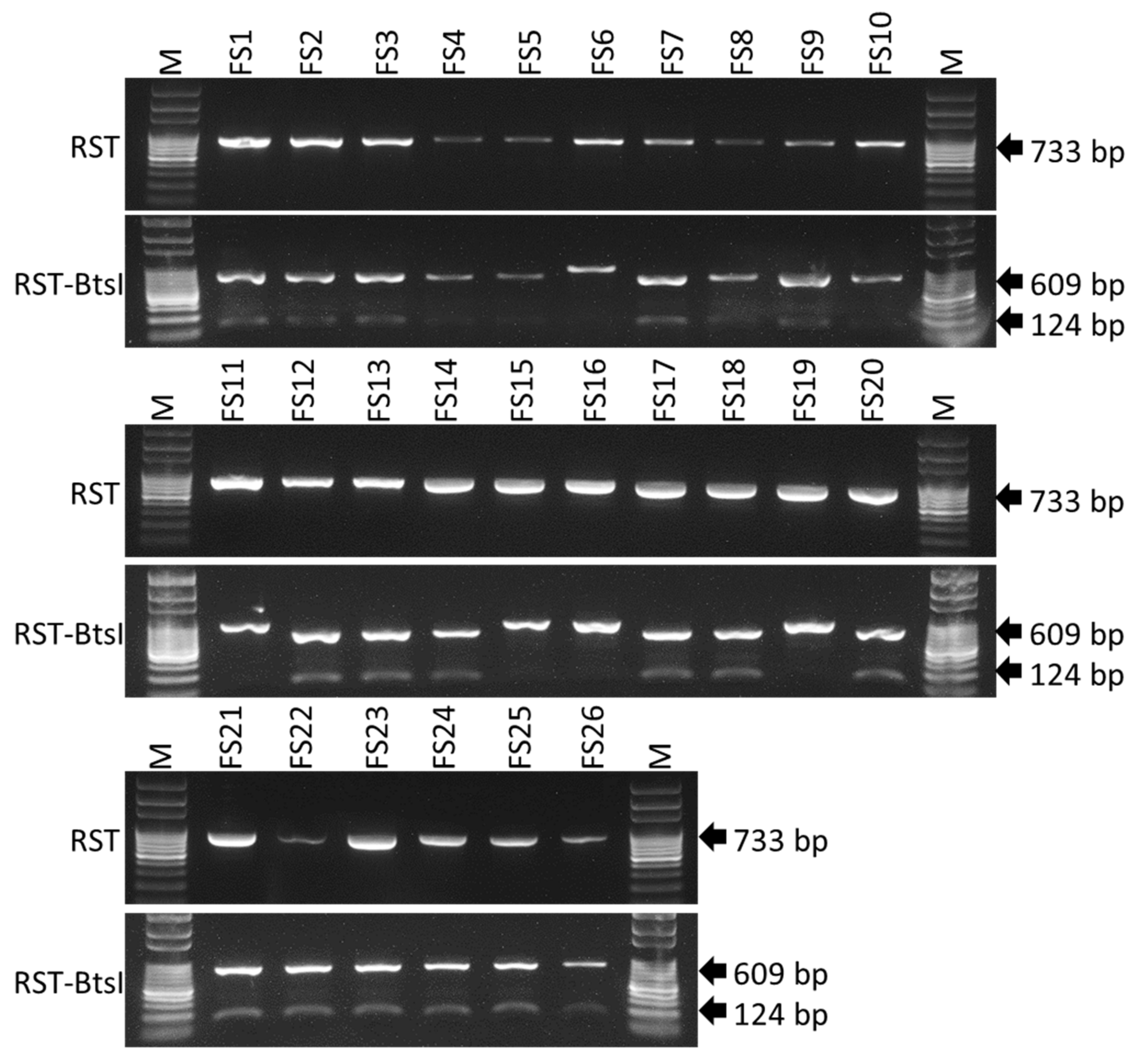 Ijms 23 01937 g003 Ijms 23 01937 g003