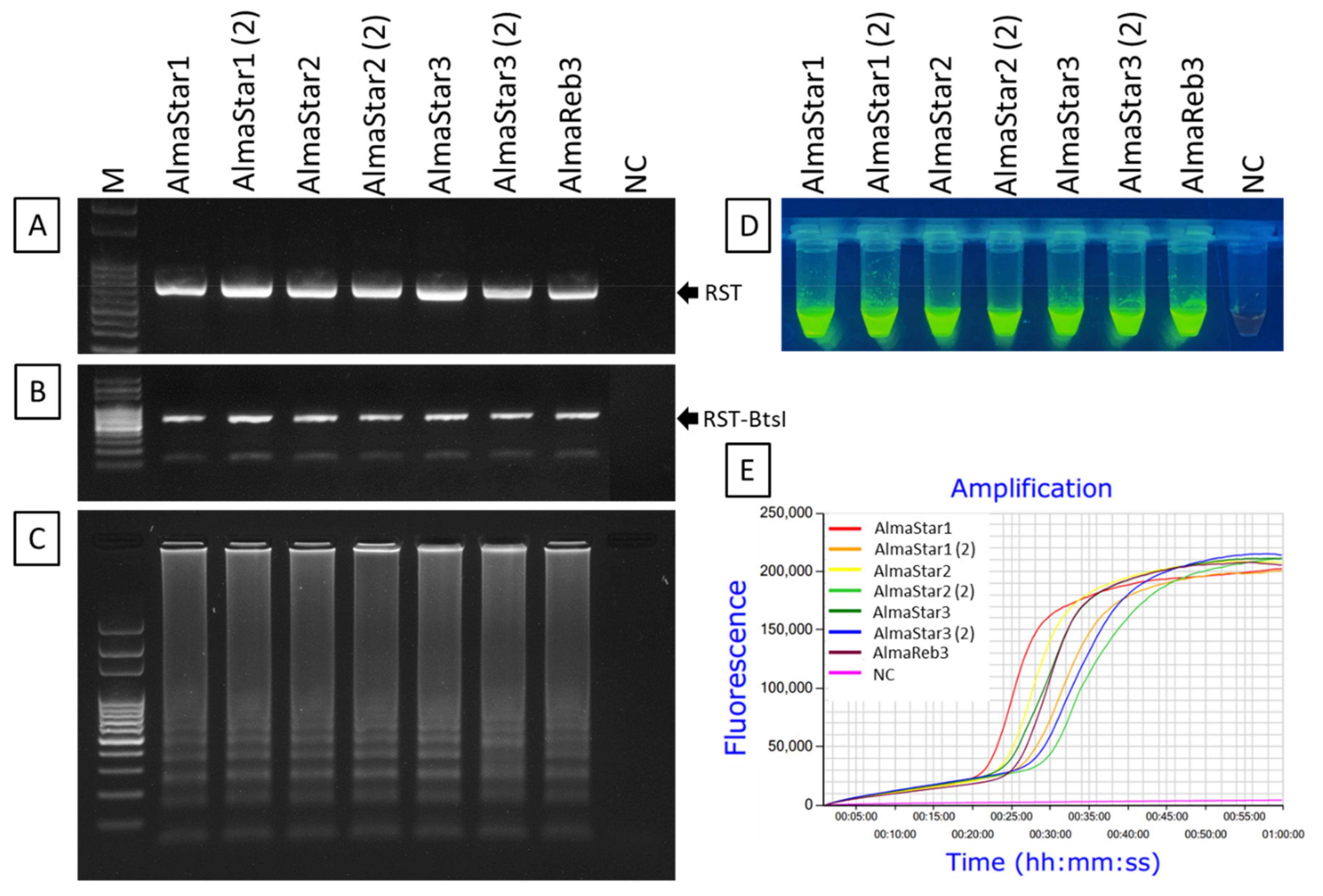 Ijms 23 01937 g006 Ijms 23 01937 g006