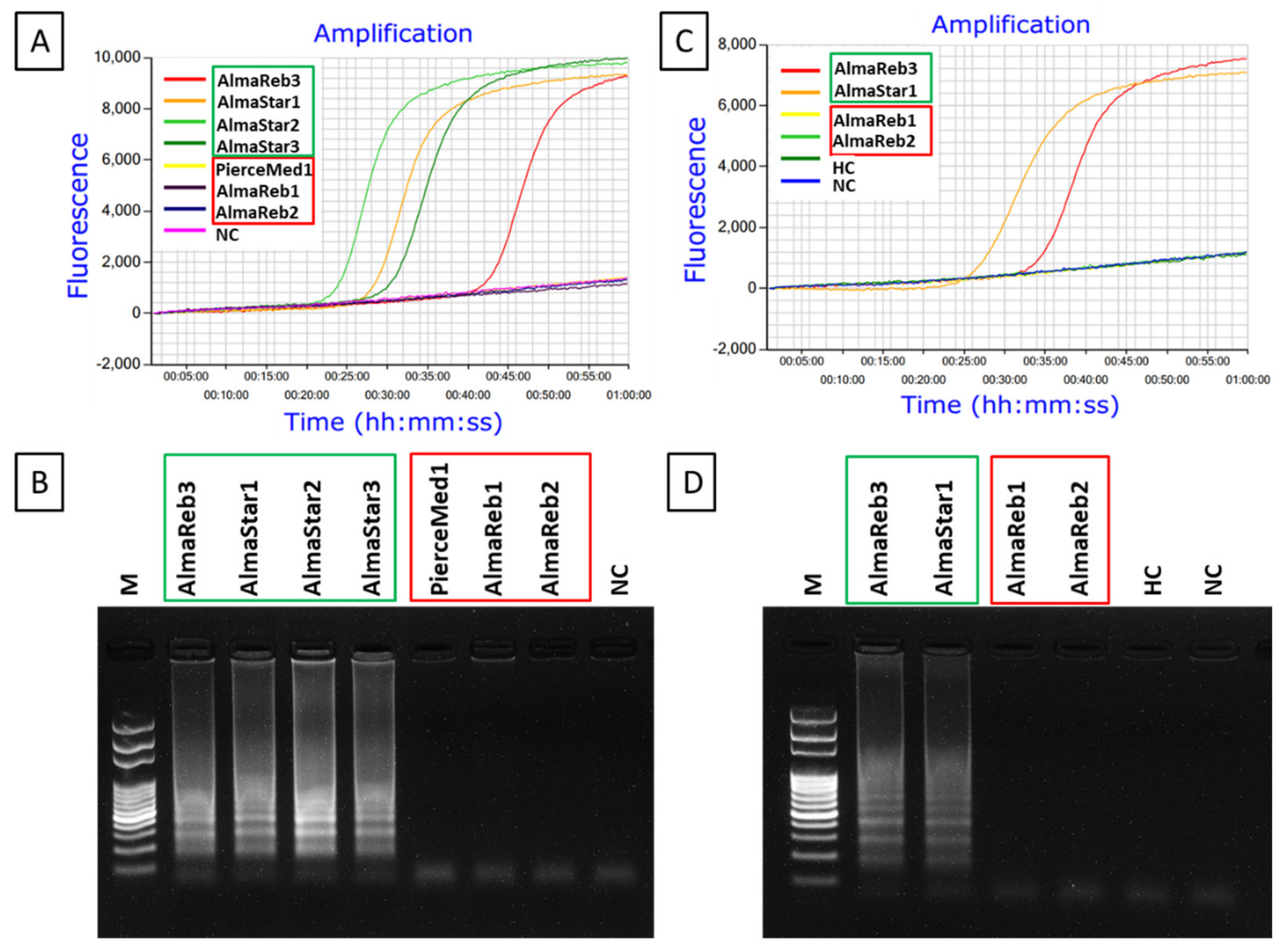 Ijms 23 01937 g010 Ijms 23 01937 g010