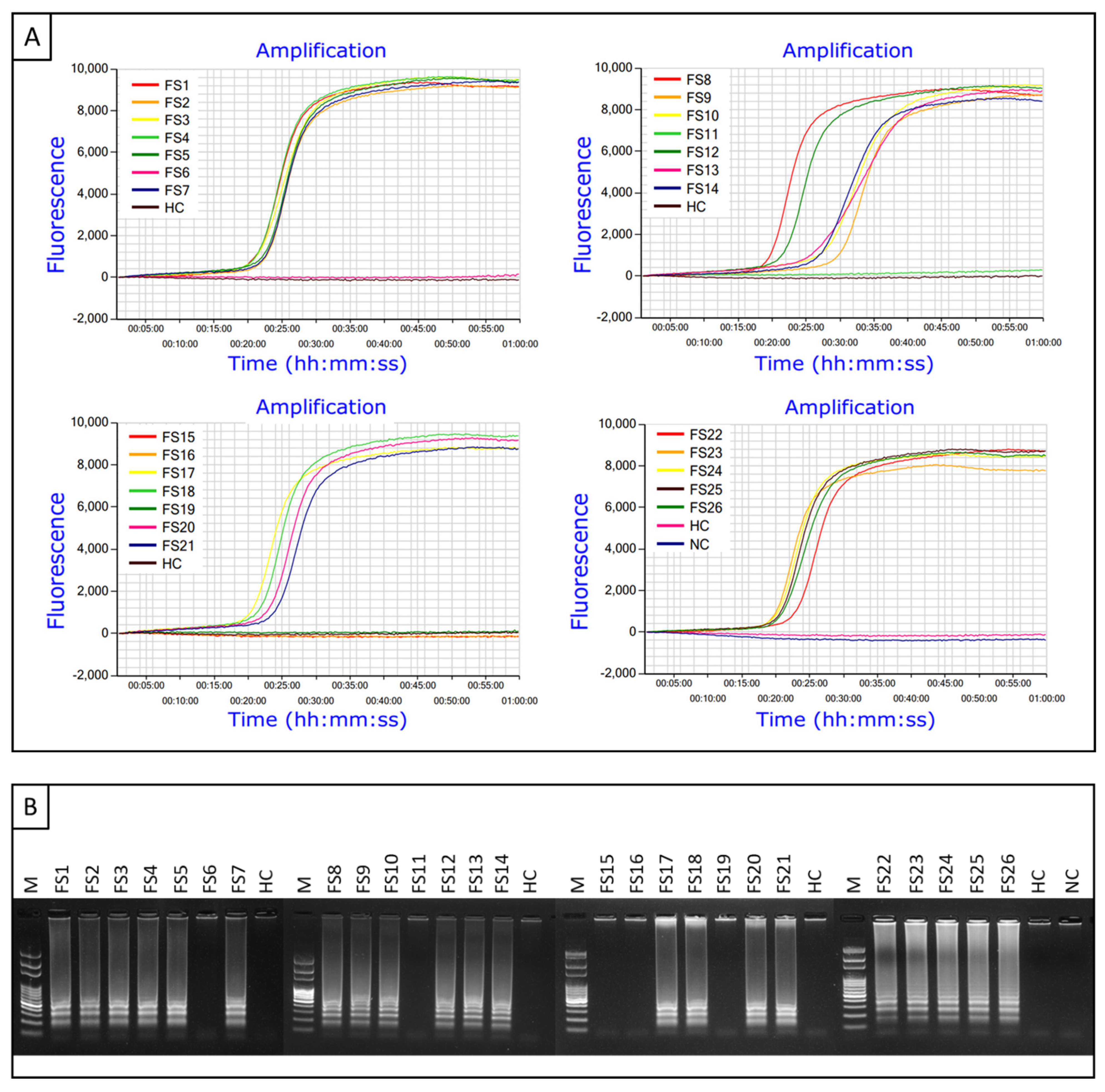 Ijms 23 01937 g011 Ijms 23 01937 g011