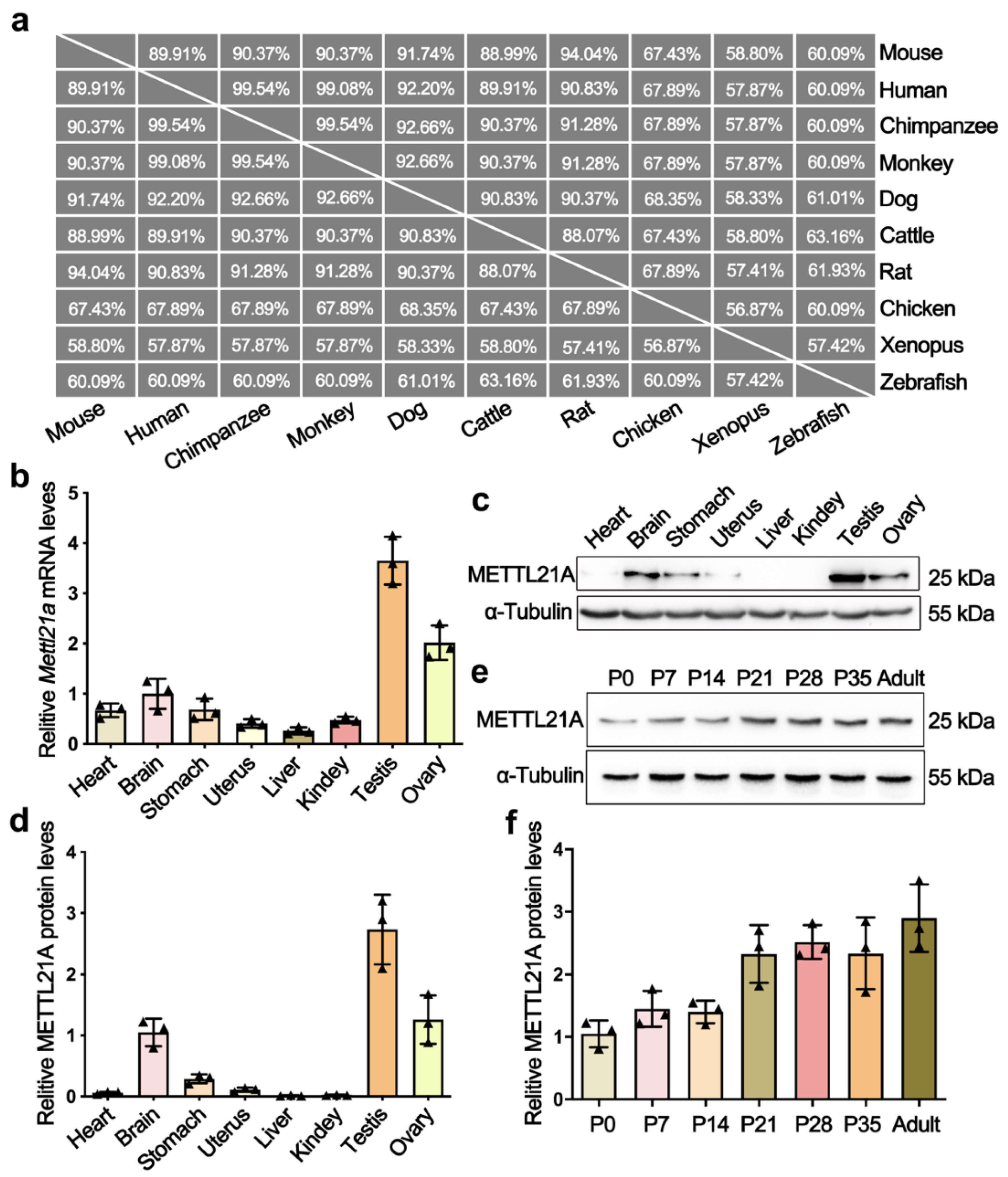 Ijms 23 01942 g001 550