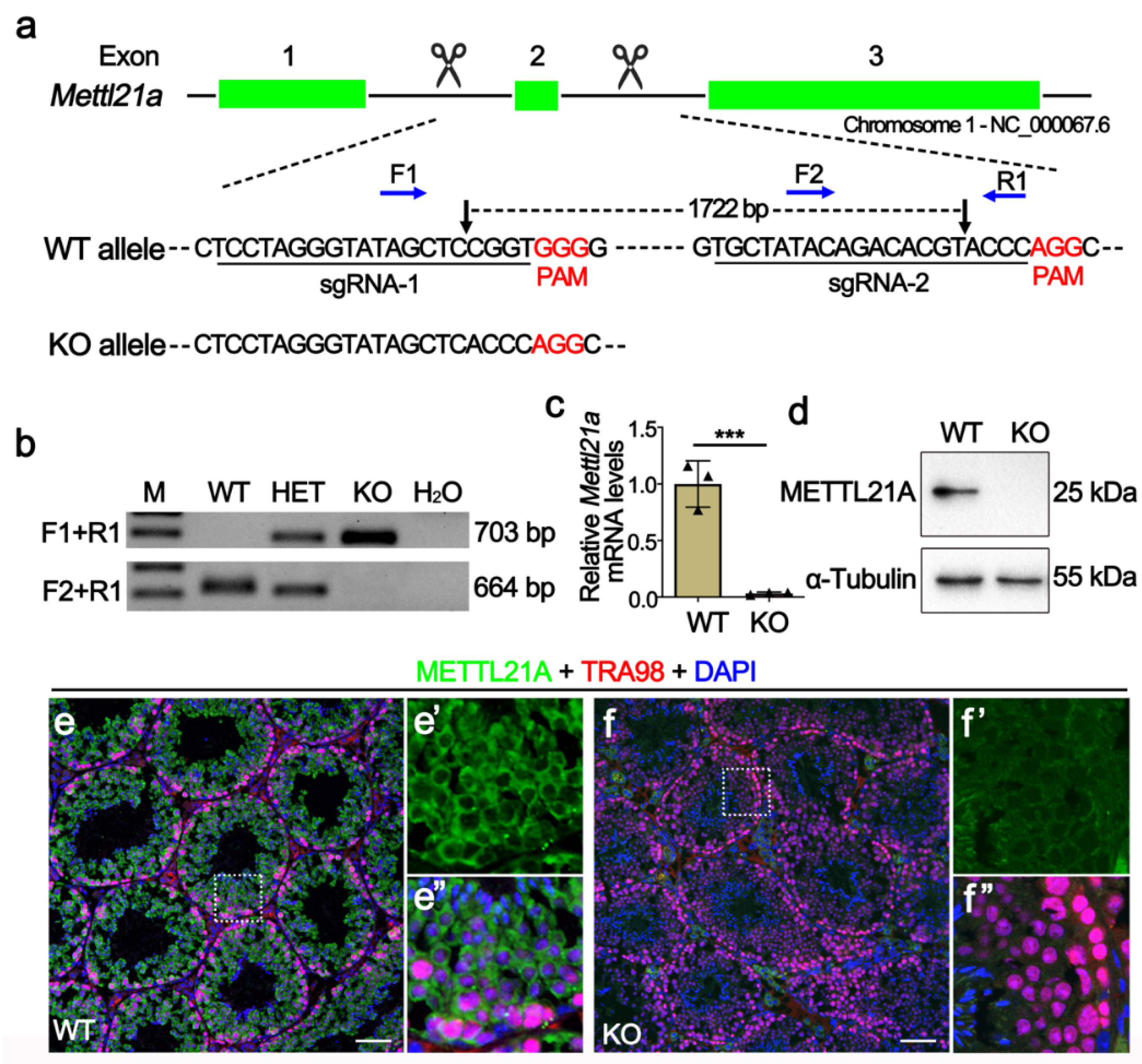 Ijms 23 01942 g002 550