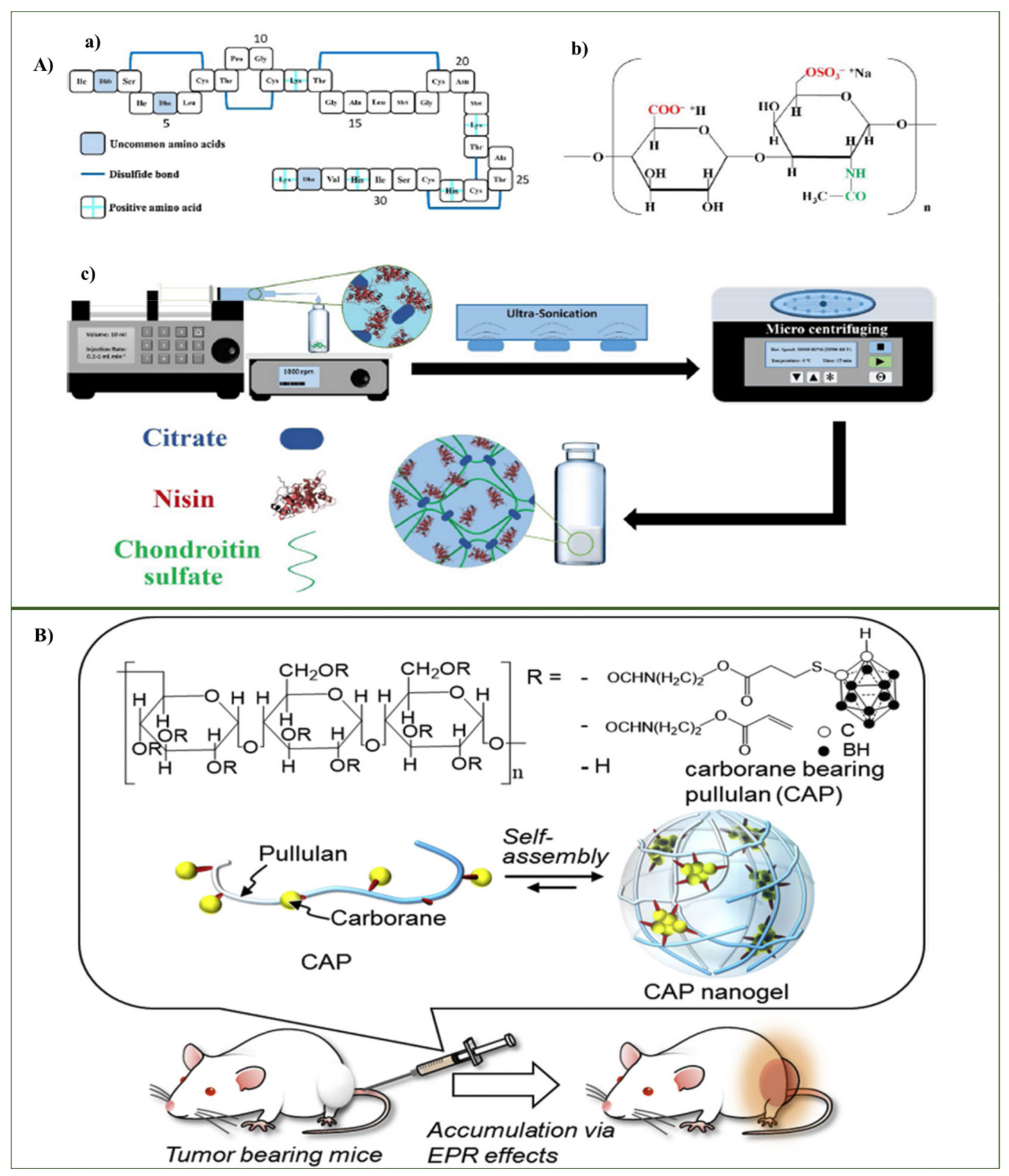 Ijms 23 01943 g003 550