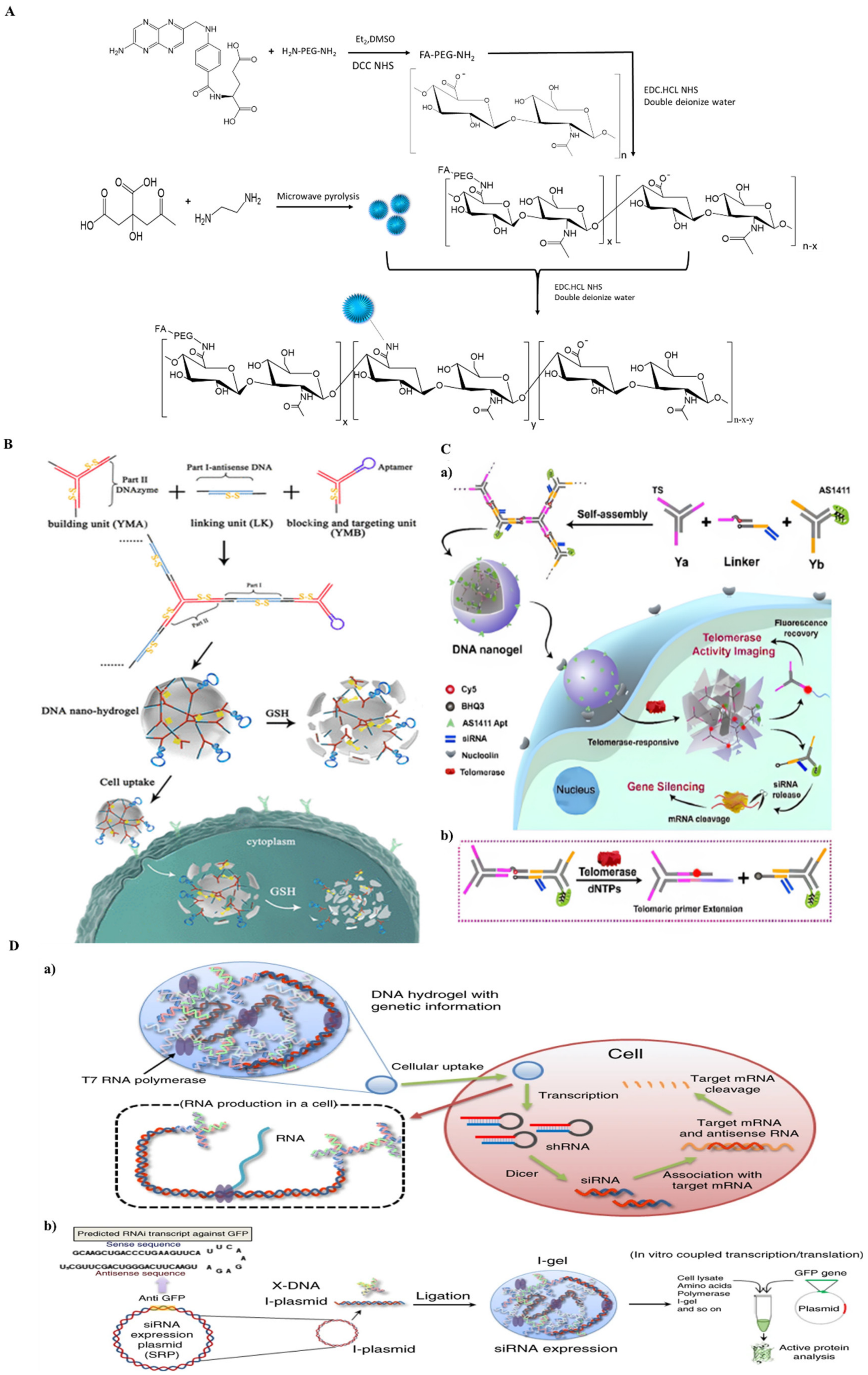 Ijms 23 01943 g004 550