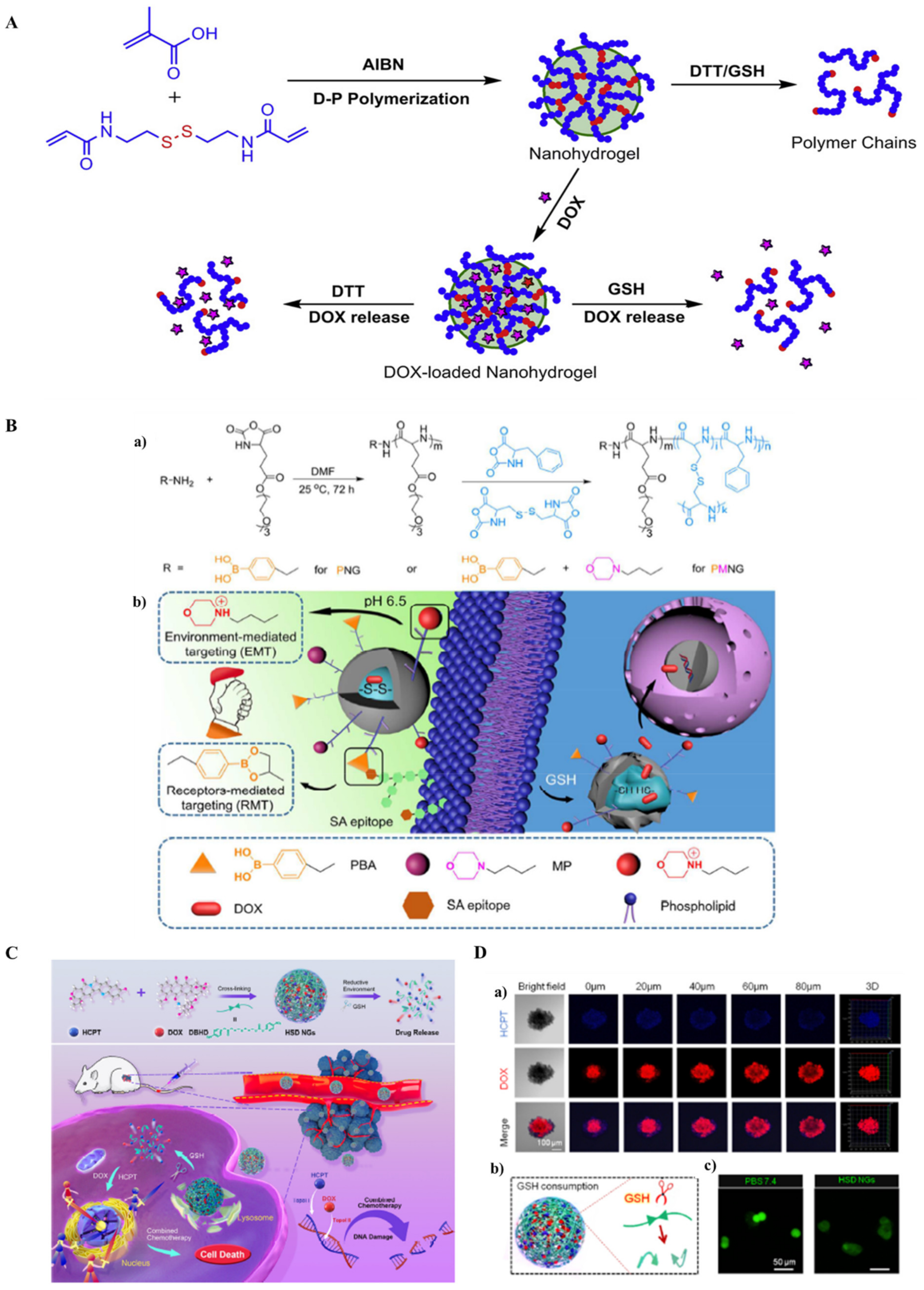 Ijms 23 01943 g005 550