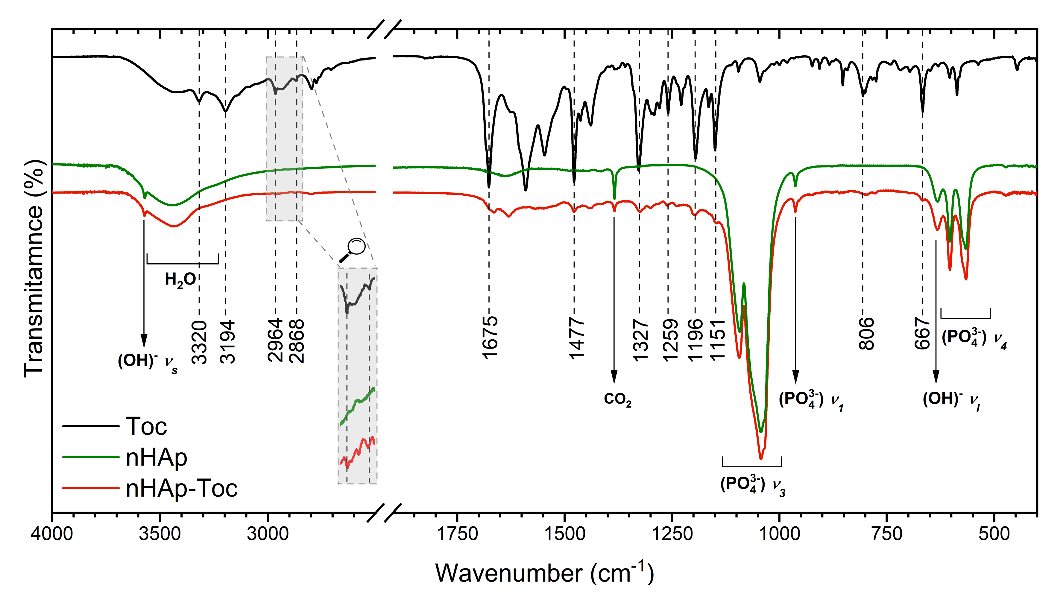 Ijms 23 01944 g002 550
