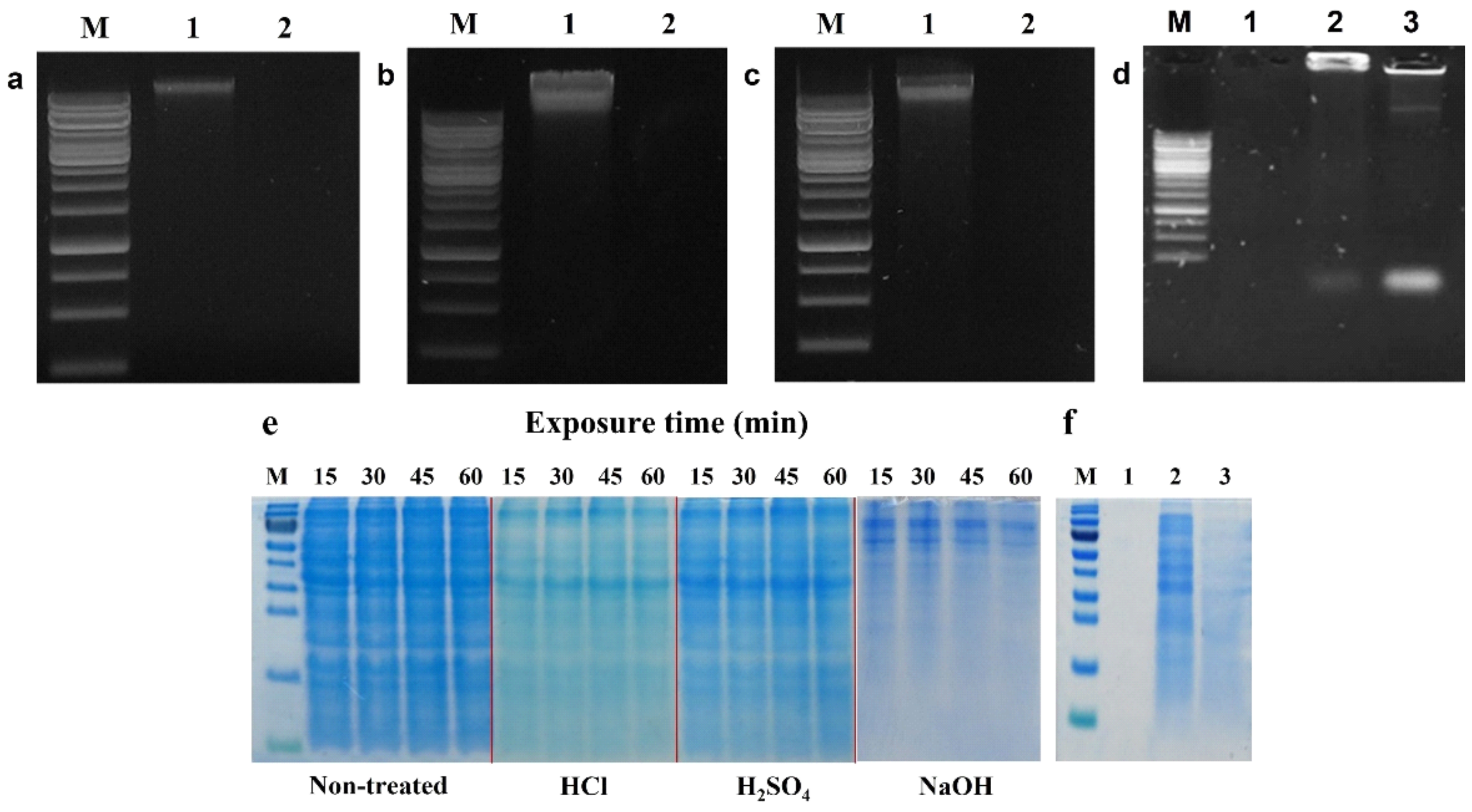 Ijms 23 01946 g002 Ijms 23 01946 g002