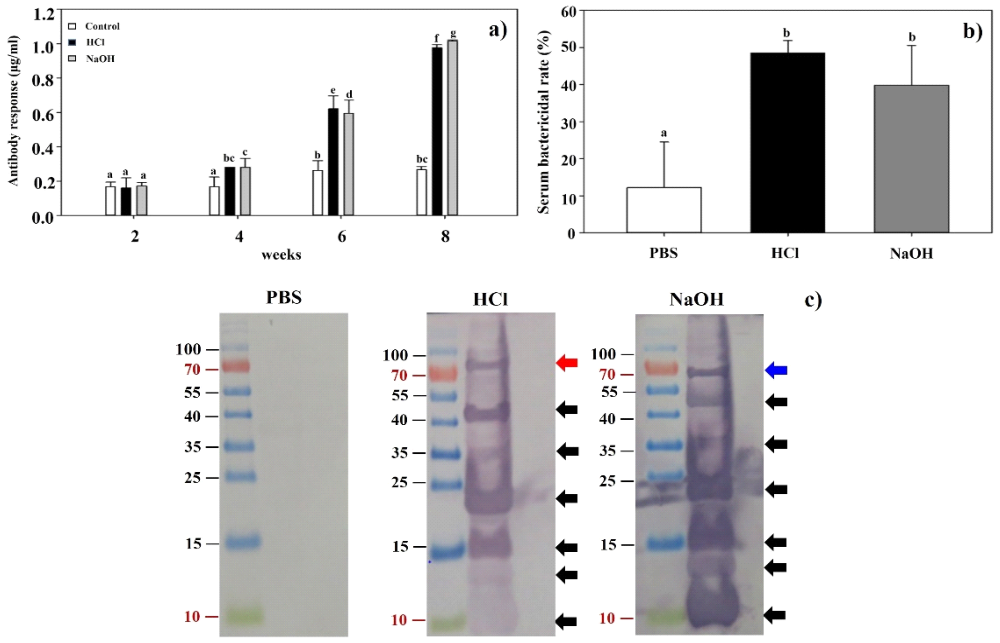 Ijms 23 01946 g006 Ijms 23 01946 g006