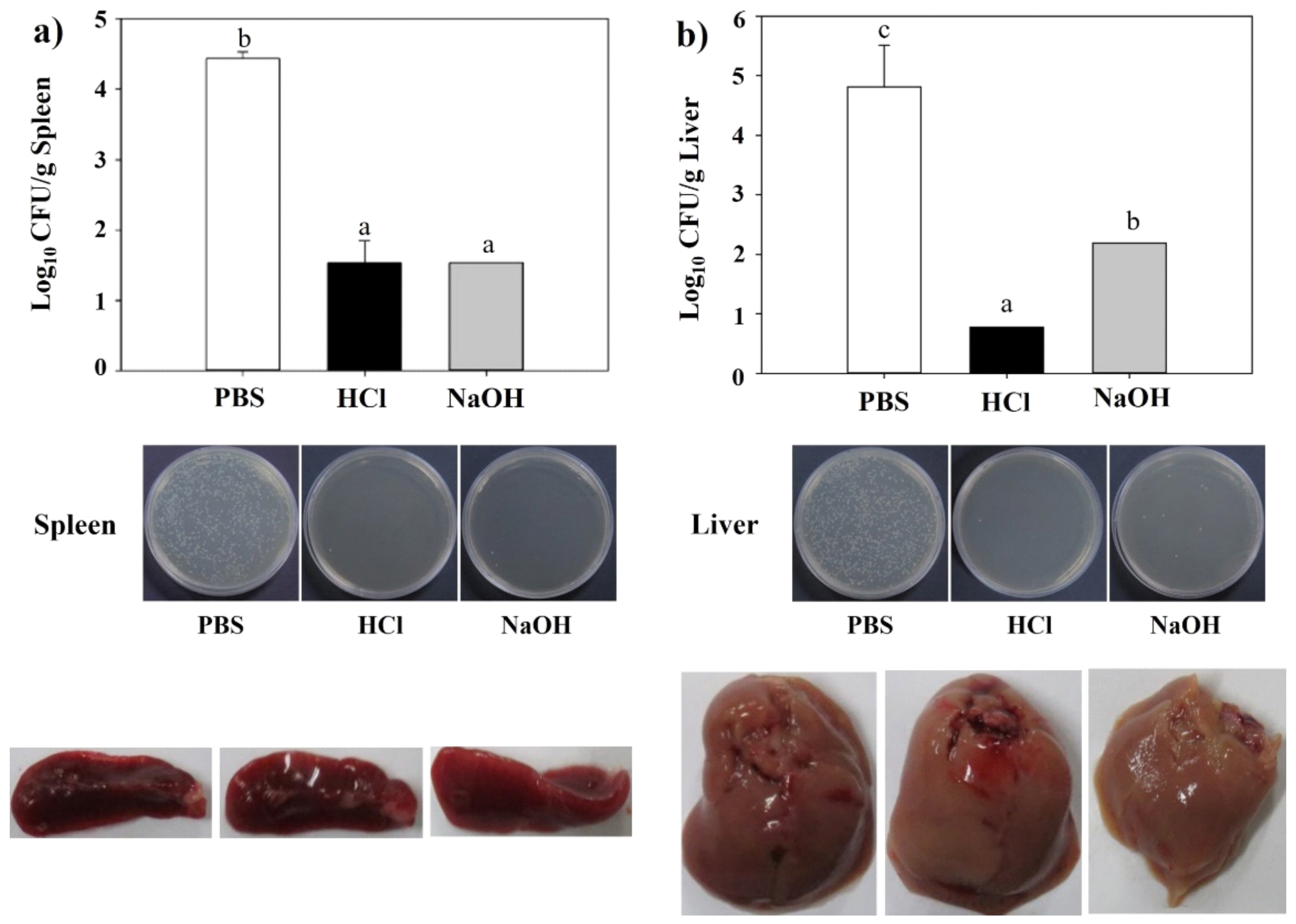 Ijms 23 01946 g008 Ijms 23 01946 g008