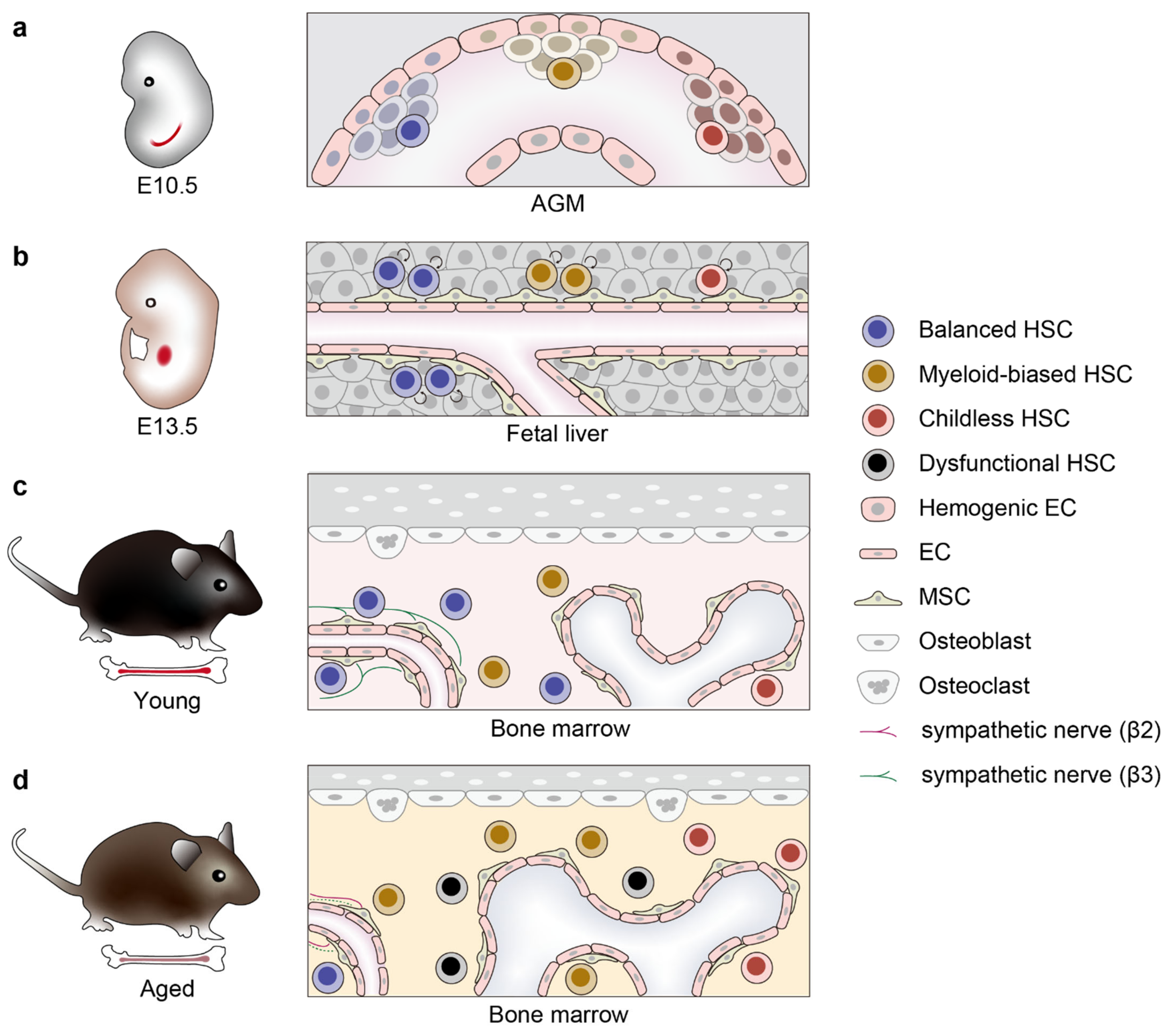 Ijms 23 01948 g002 550