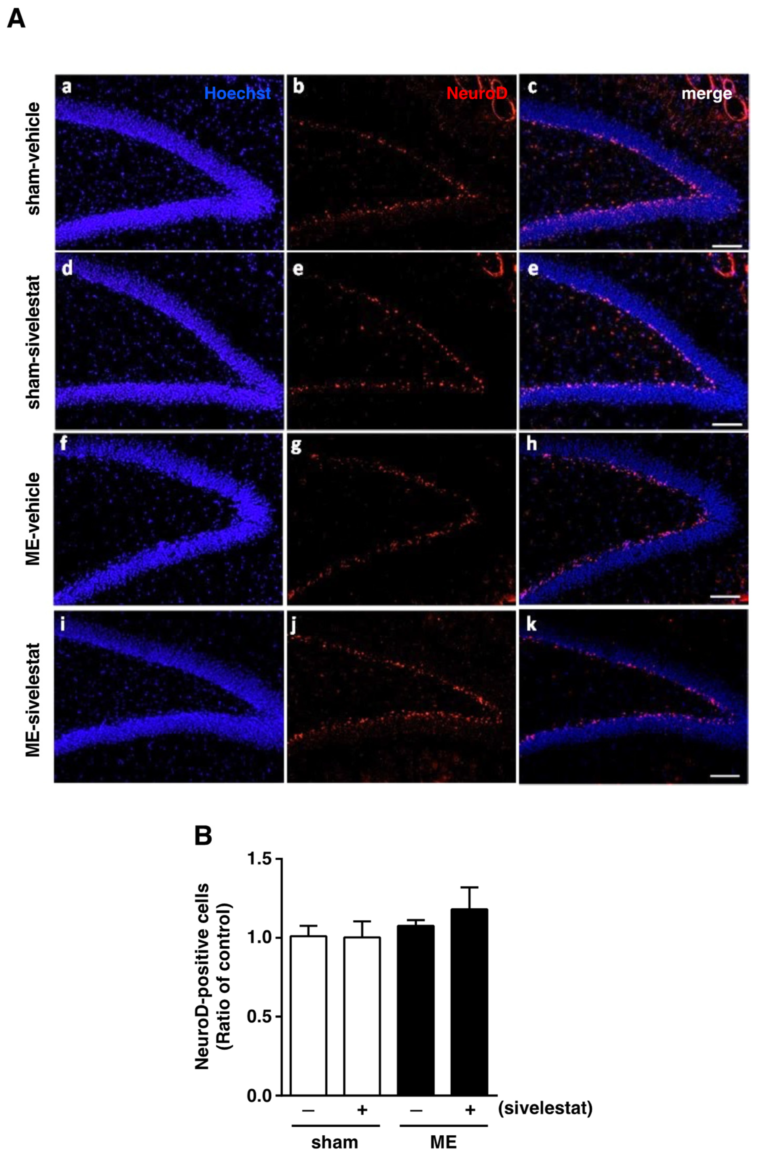 Ijms 23 01949 g002 Ijms 23 01949 g002