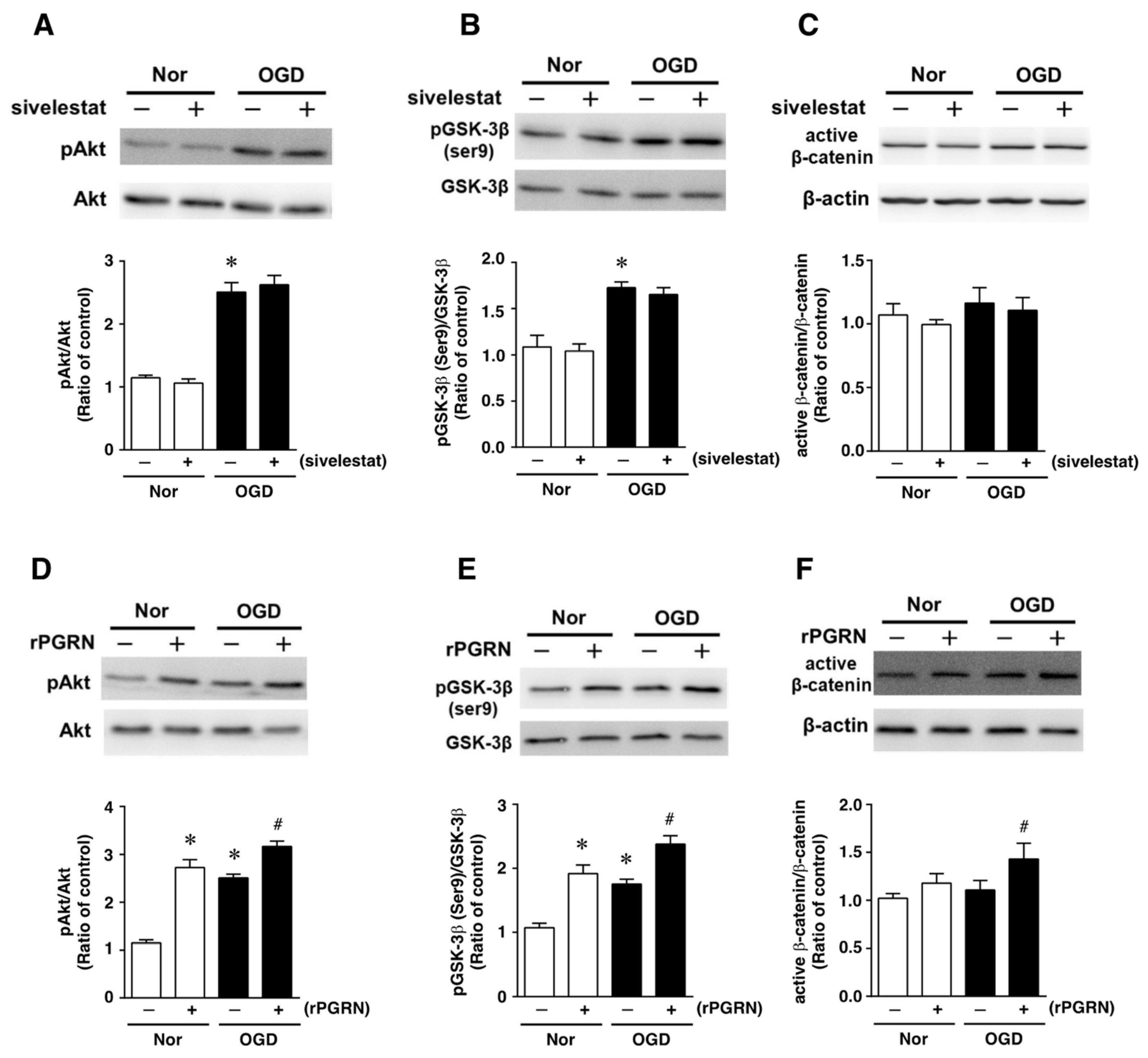 Ijms 23 01949 g004 Ijms 23 01949 g004