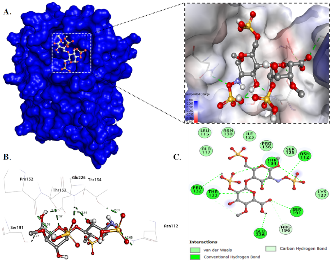 Ijms 23 01950 g010 Ijms 23 01950 g010