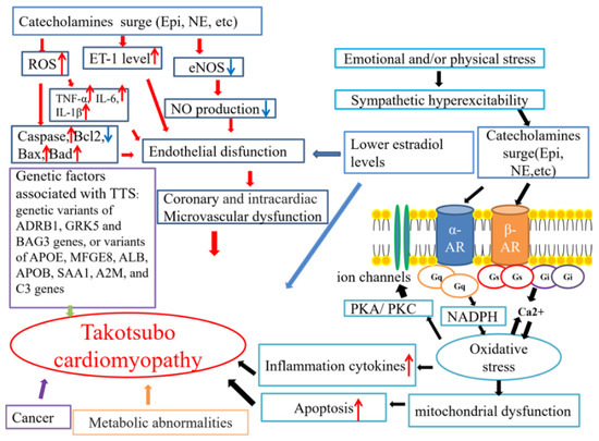 le tako tsubo