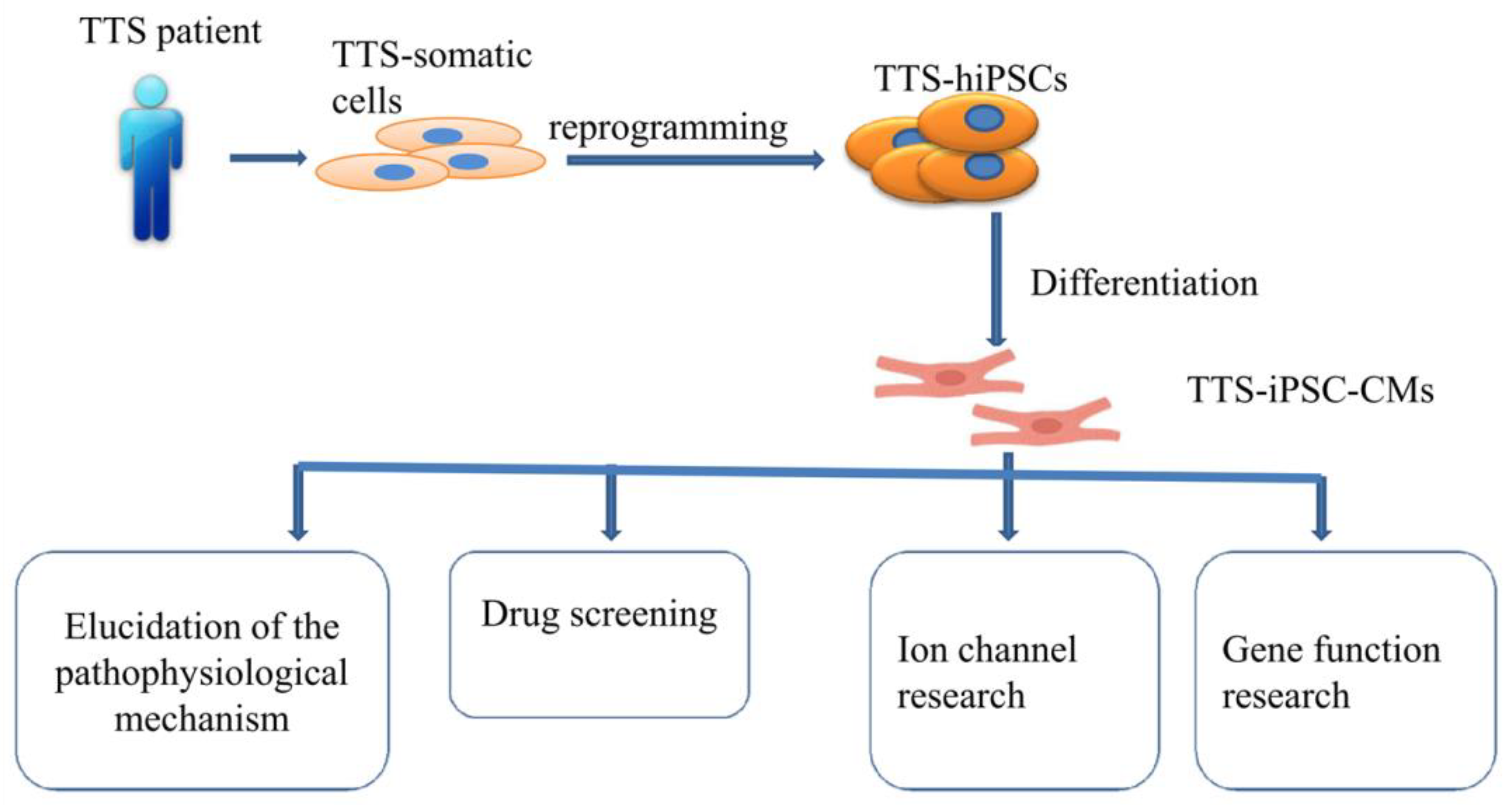 Ijms 23 01951 g002 Ijms 23 01951 g002