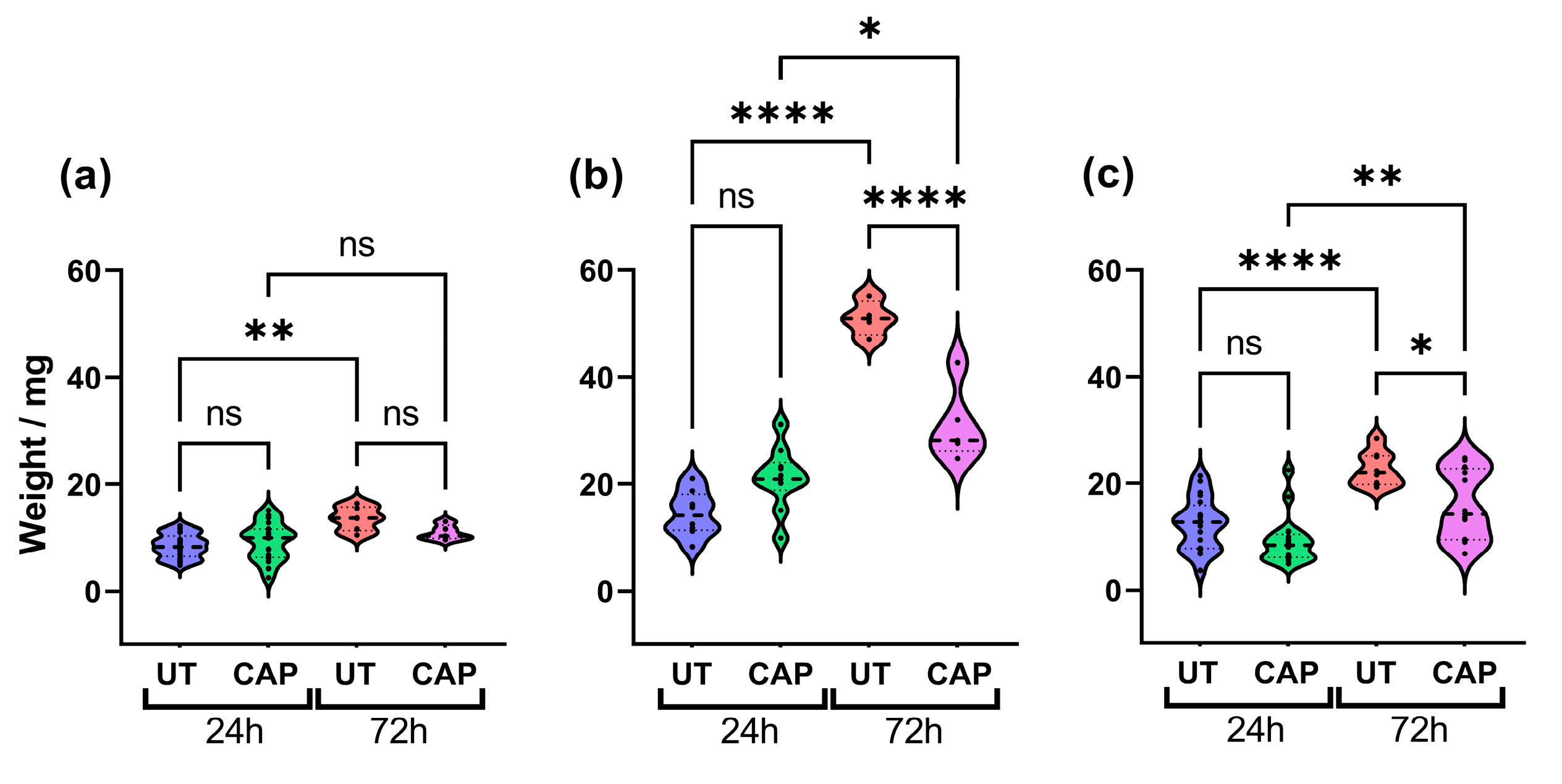 Ijms 23 01954 g001 550