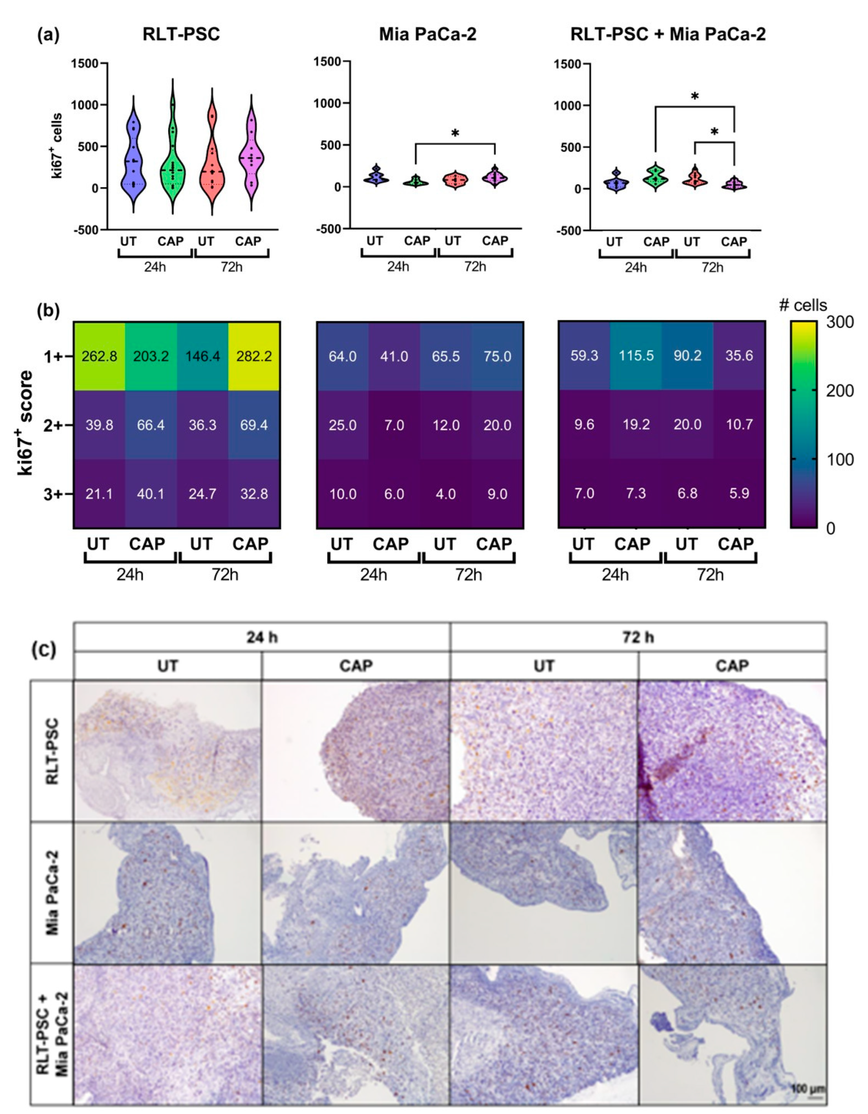 Ijms 23 01954 g003 550