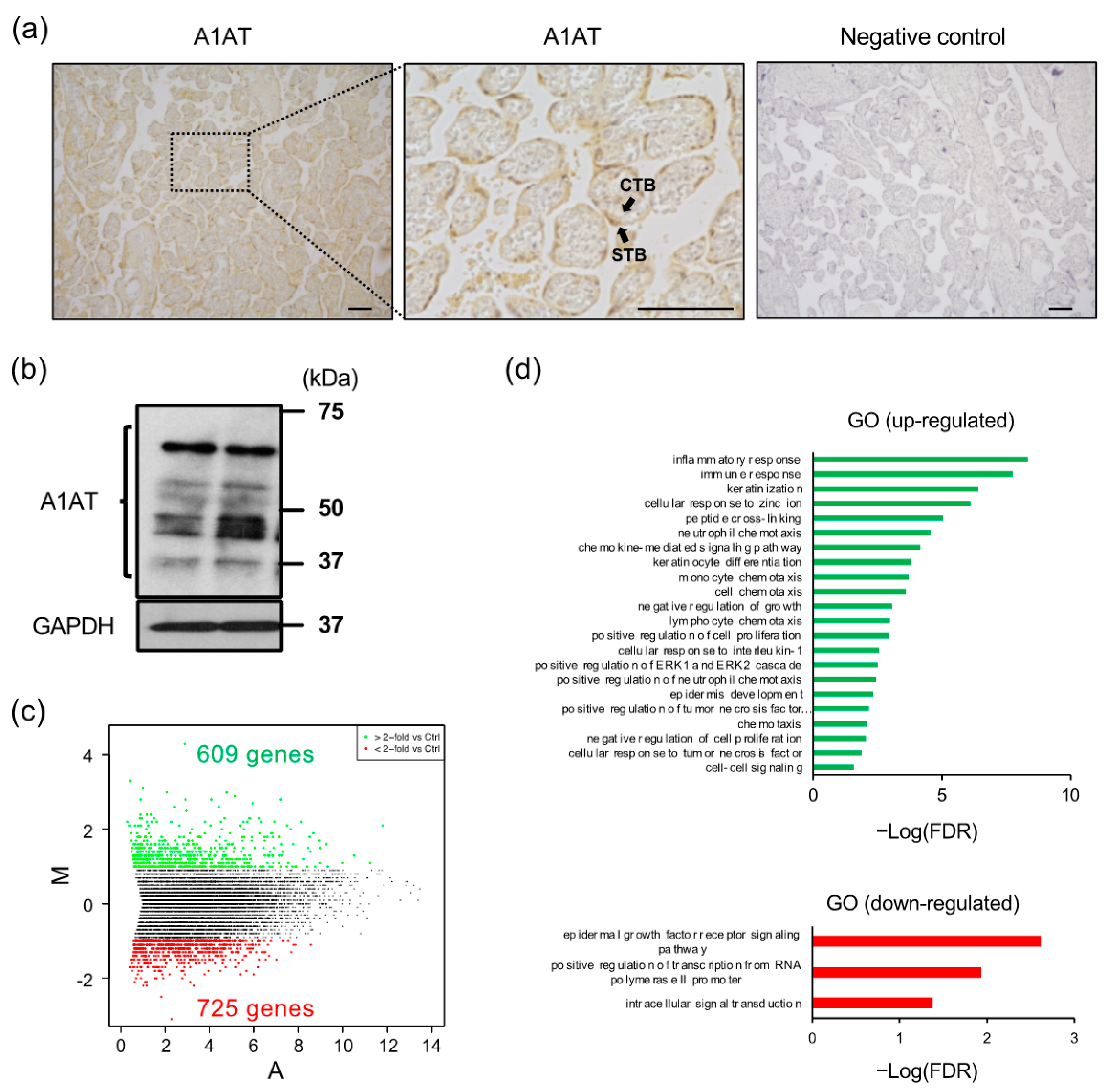 Ijms 23 01955 g001 550