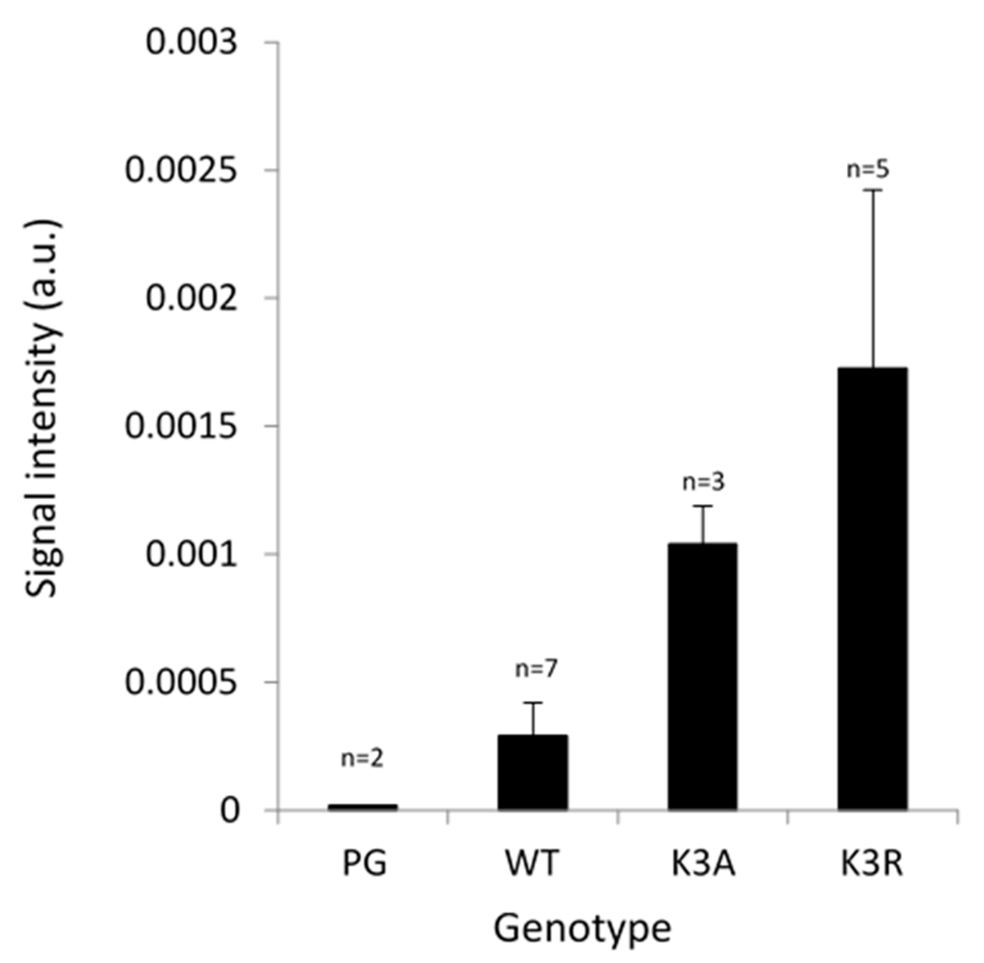 Ijms 23 01956 g004 550