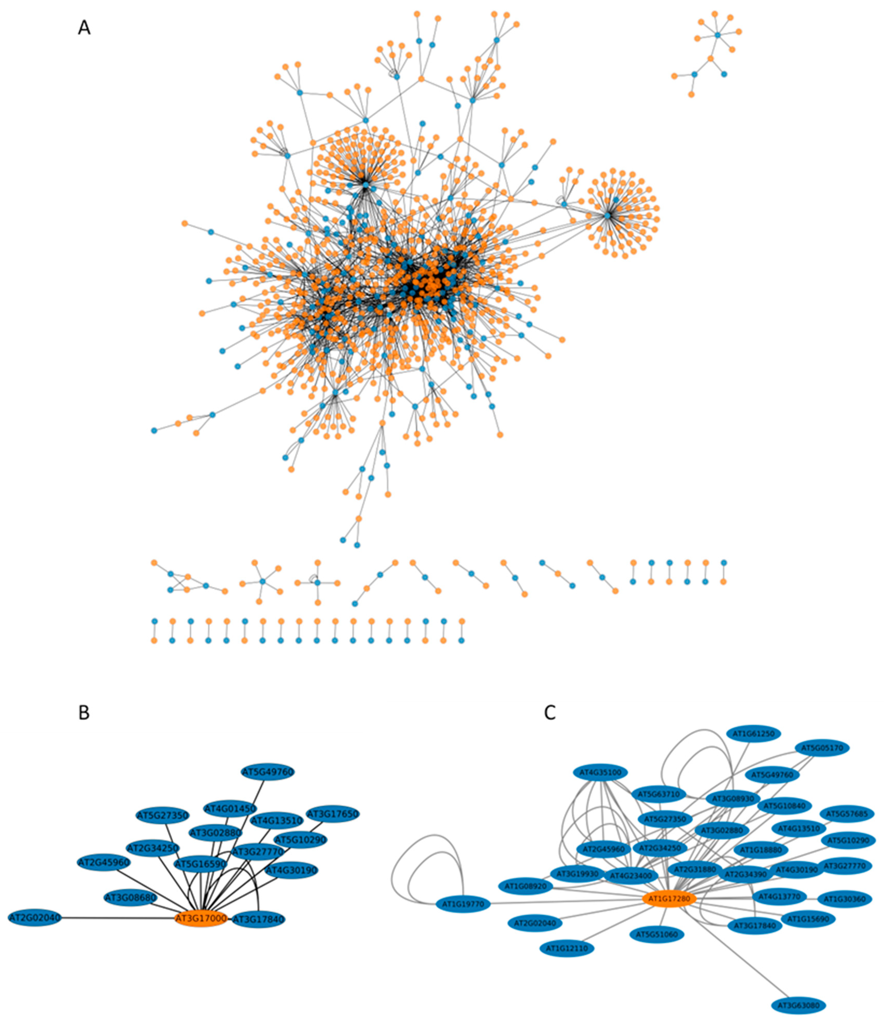 Ijms 23 01956 g005 550