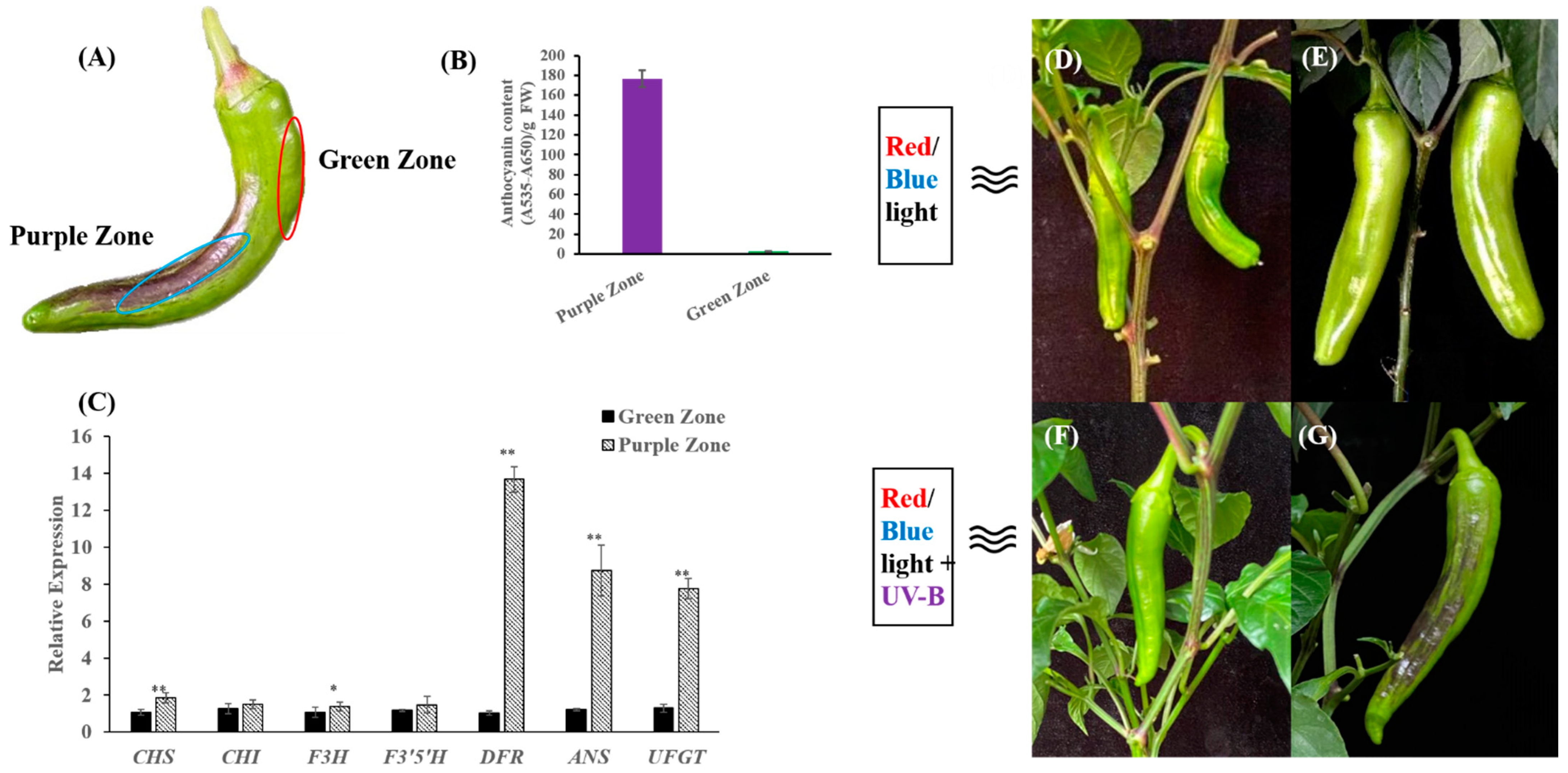 Ijms 23 01960 g001 Ijms 23 01960 g001