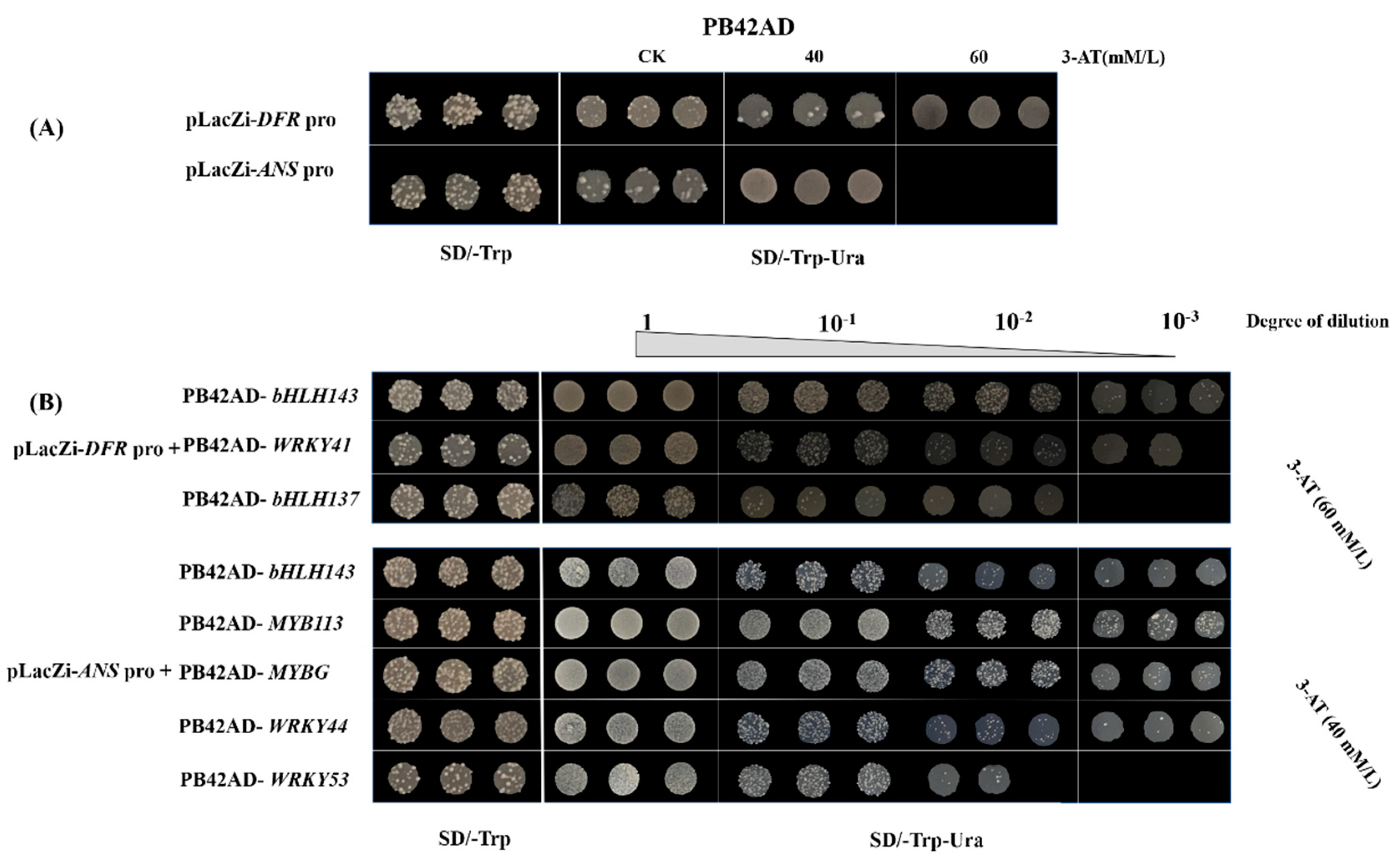 Ijms 23 01960 g003 Ijms 23 01960 g003