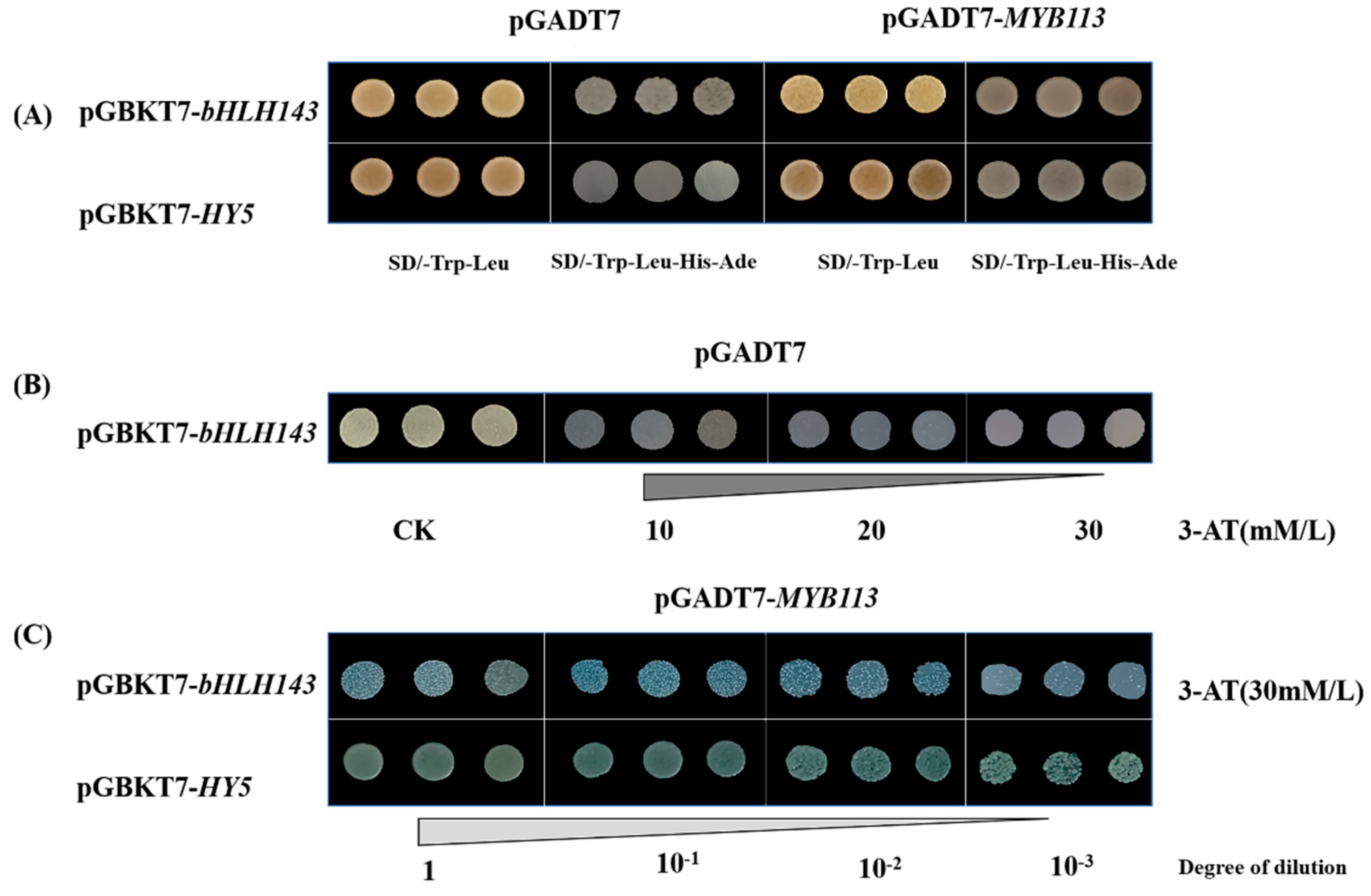 Ijms 23 01960 g004 Ijms 23 01960 g004