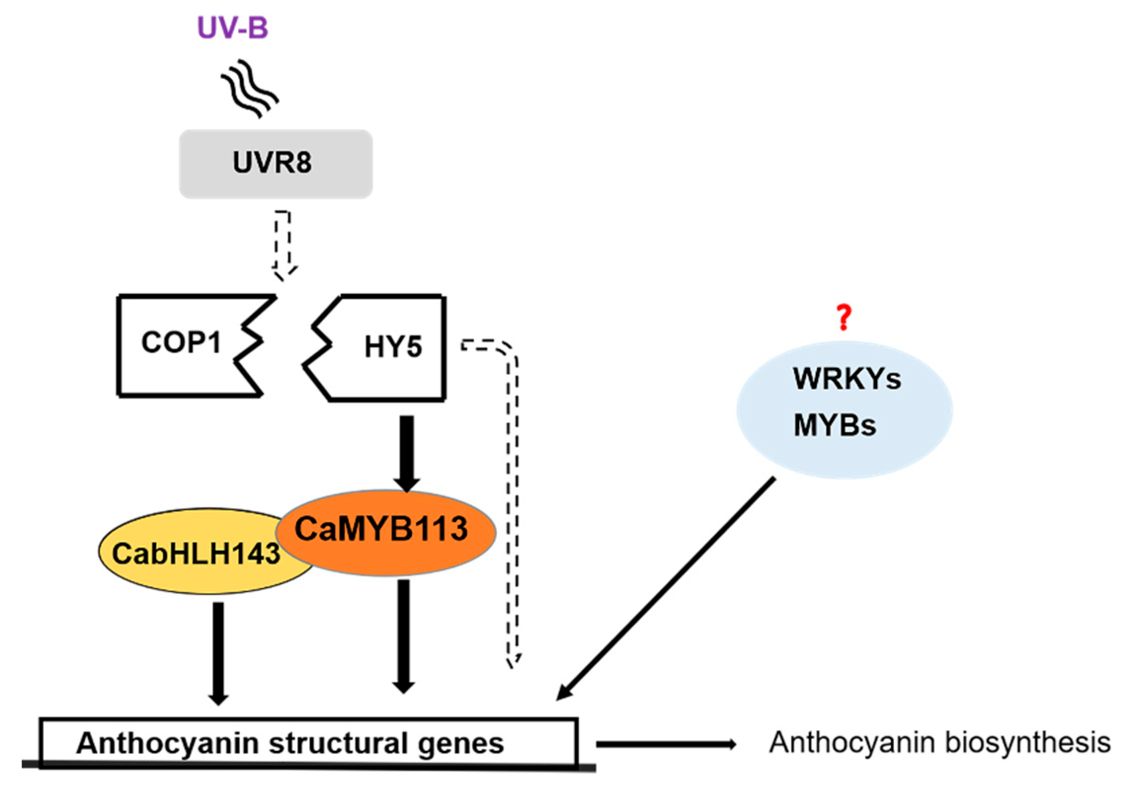 Ijms 23 01960 g006 Ijms 23 01960 g006