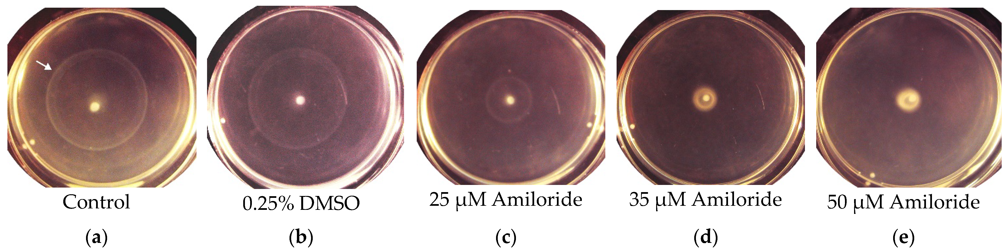 Ijms 23 01965 g002 550