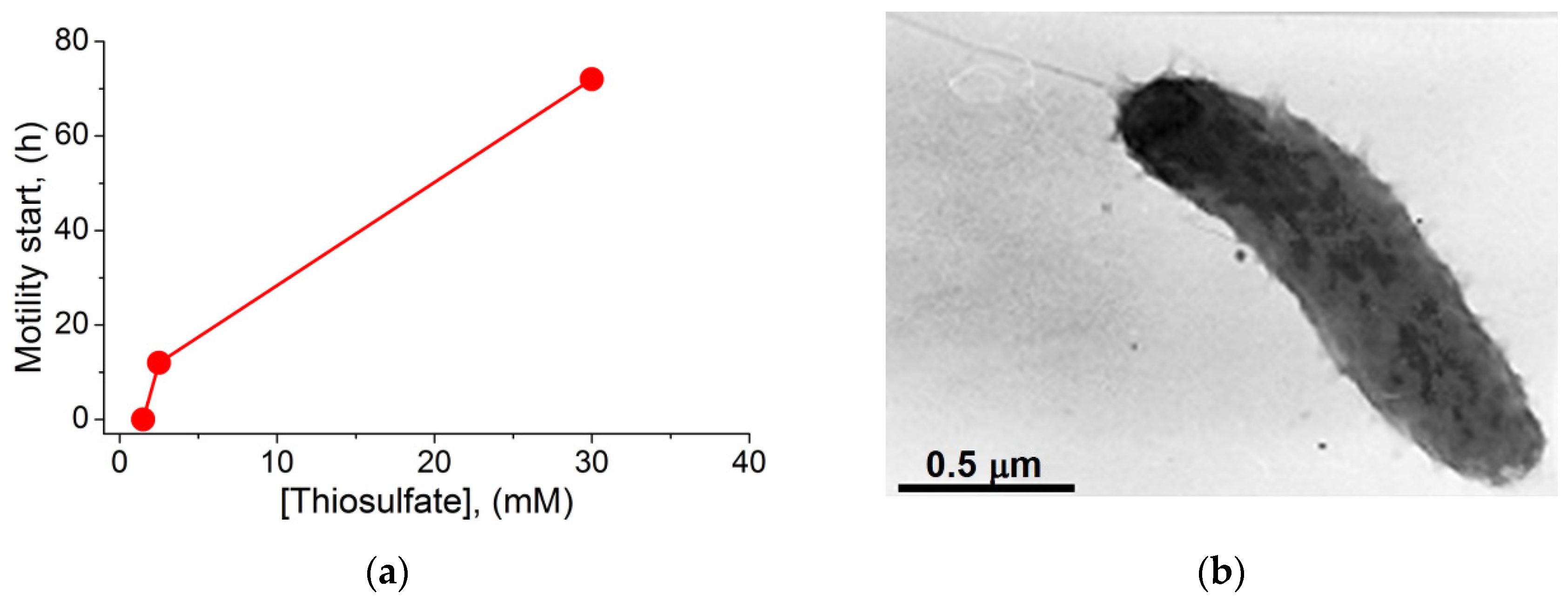 Ijms 23 01965 g003 550