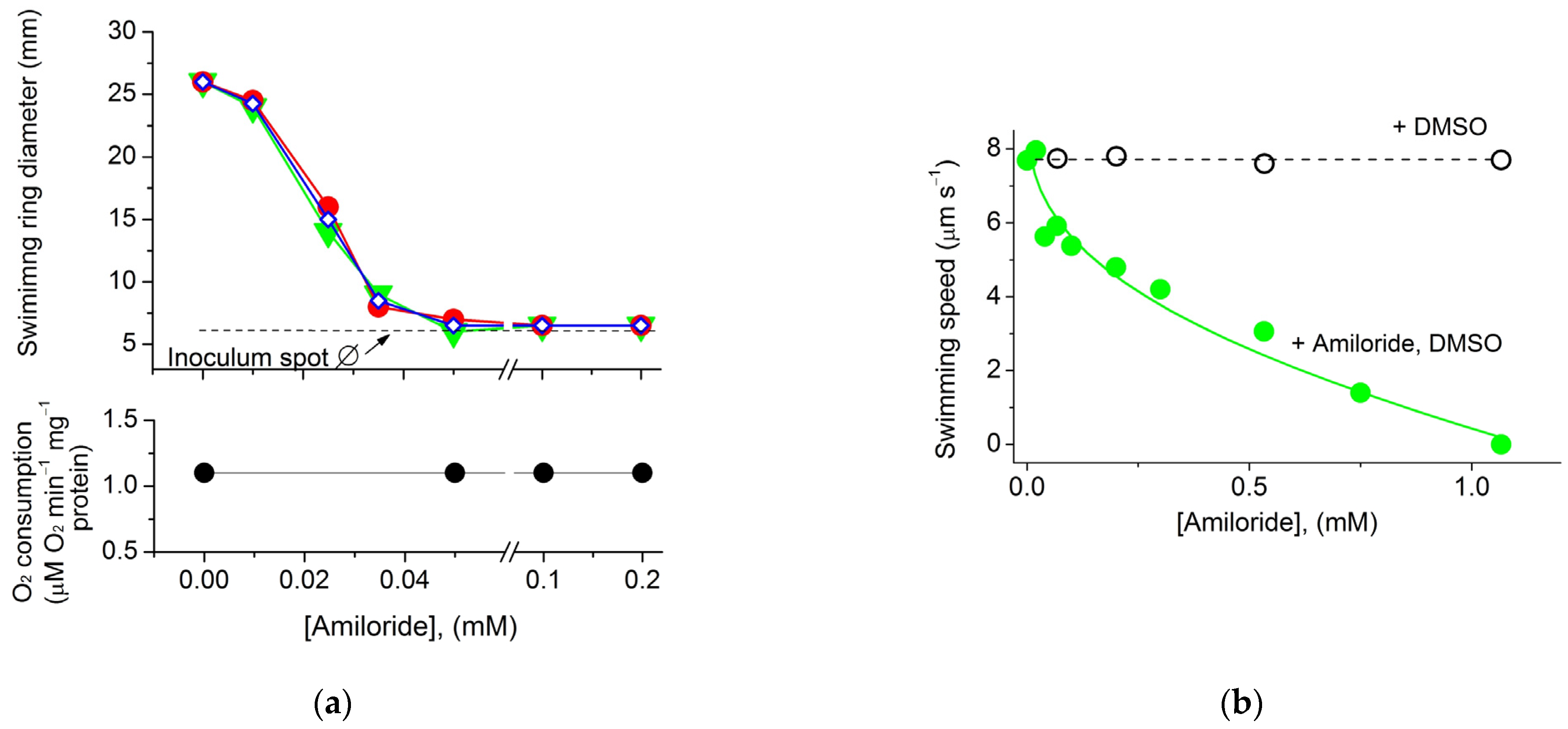 Ijms 23 01965 g004 550