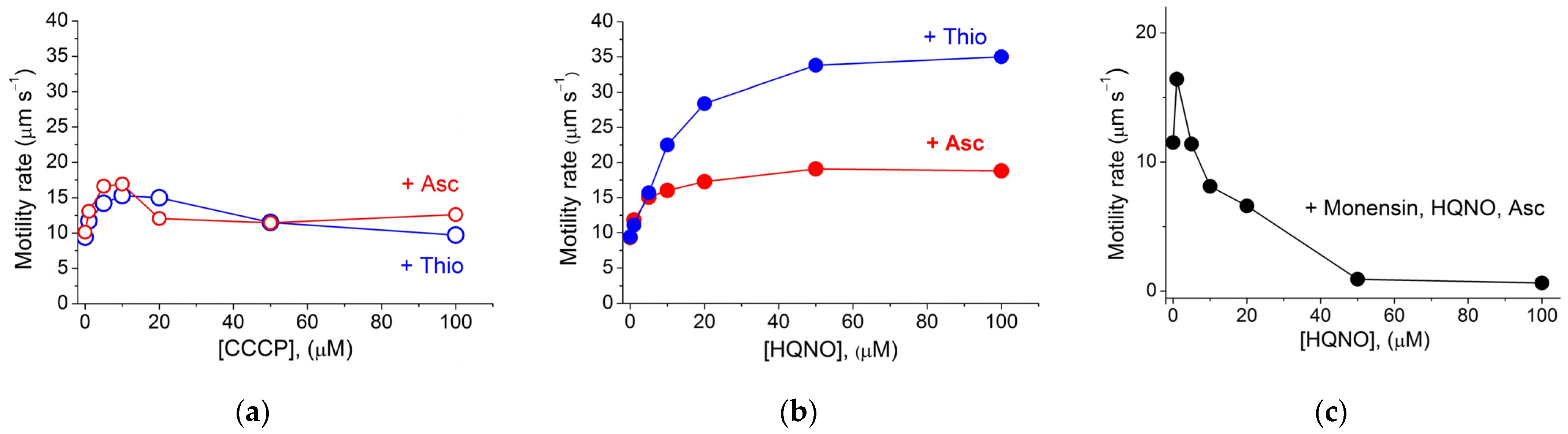 Ijms 23 01965 g006 550