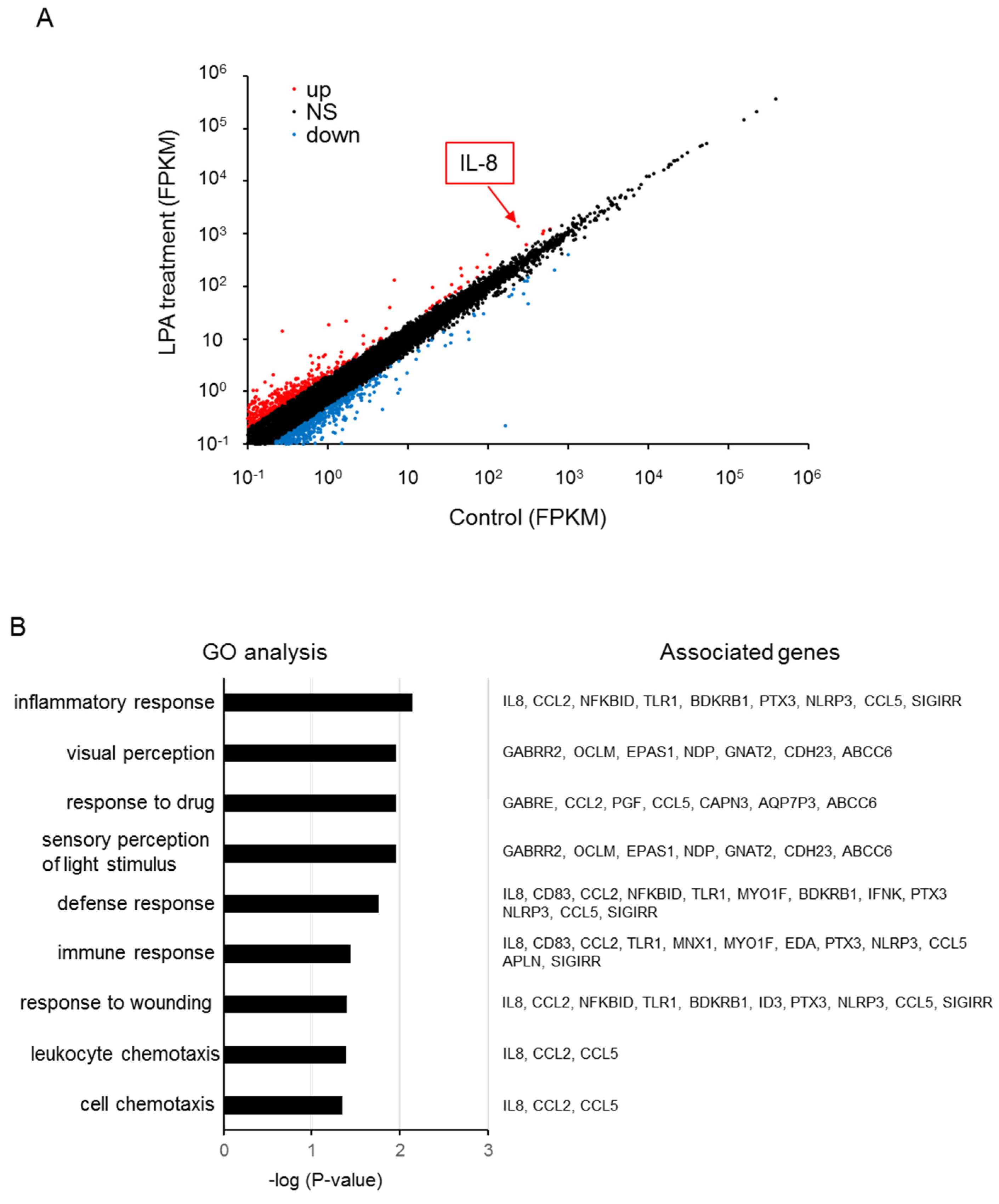 Ijms 23 01967 g006 Ijms 23 01967 g006