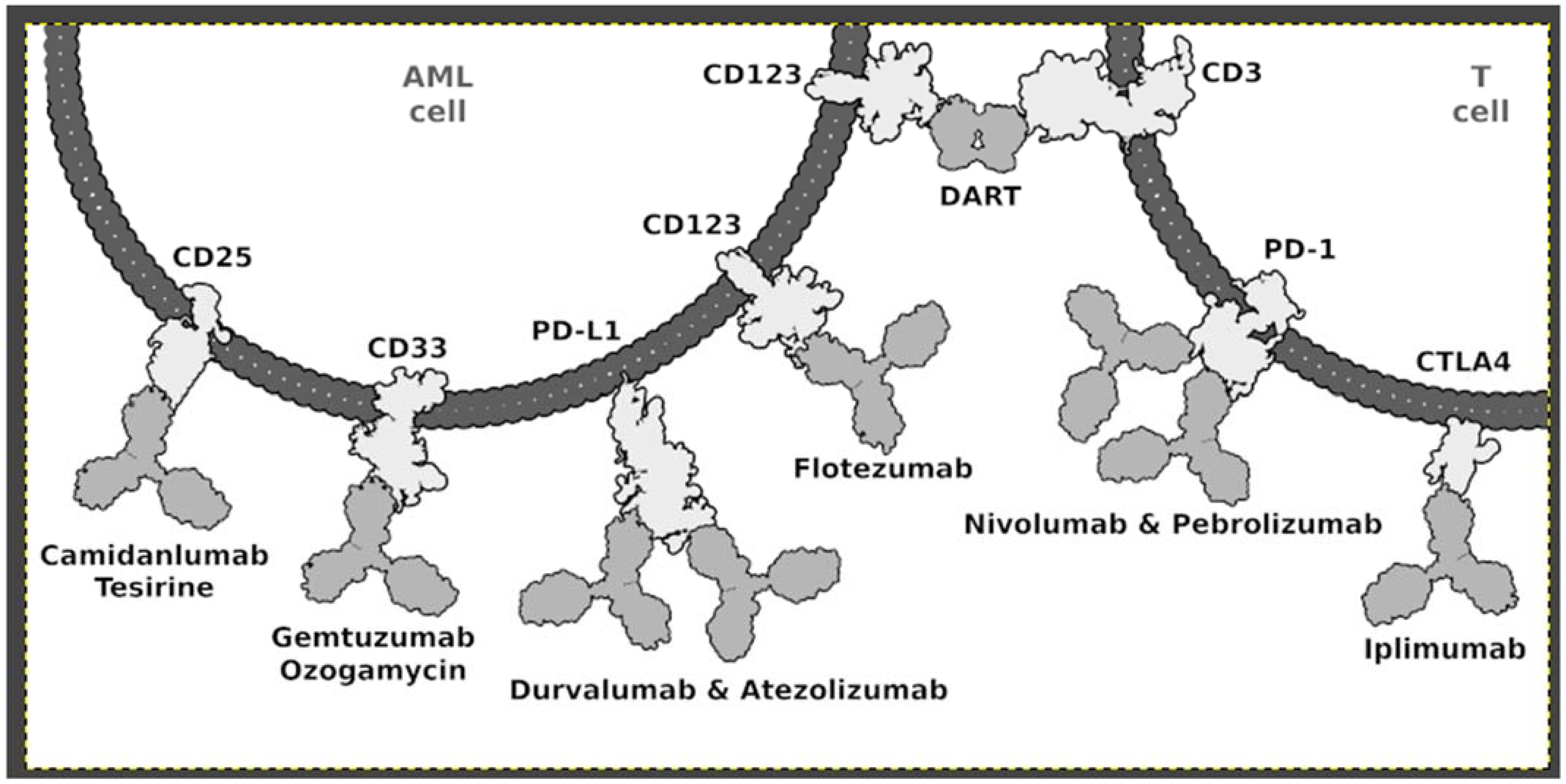 Ijms 23 01968 g001 Ijms 23 01968 g001