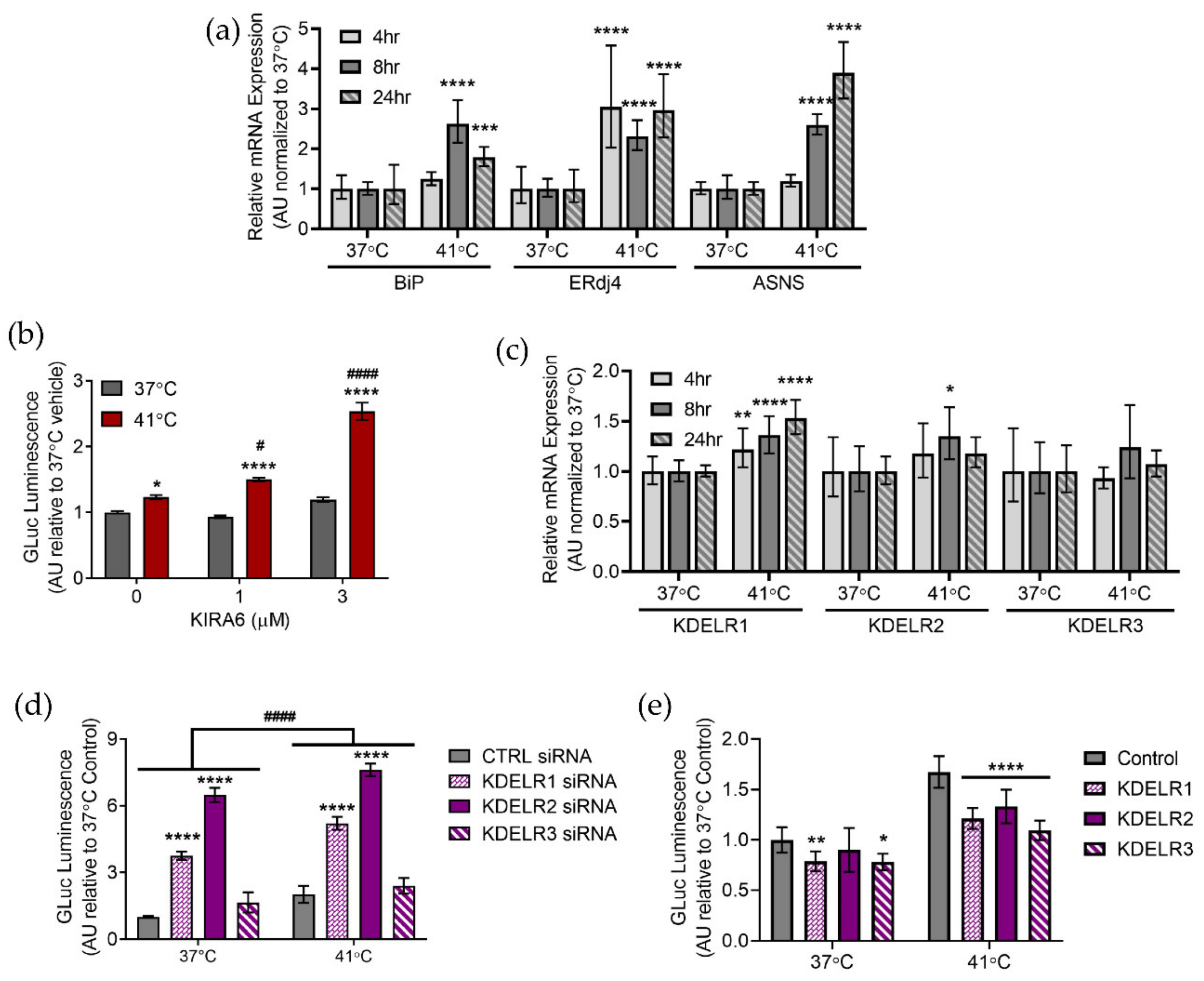 Ijms 23 01974 g003 Ijms 23 01974 g003