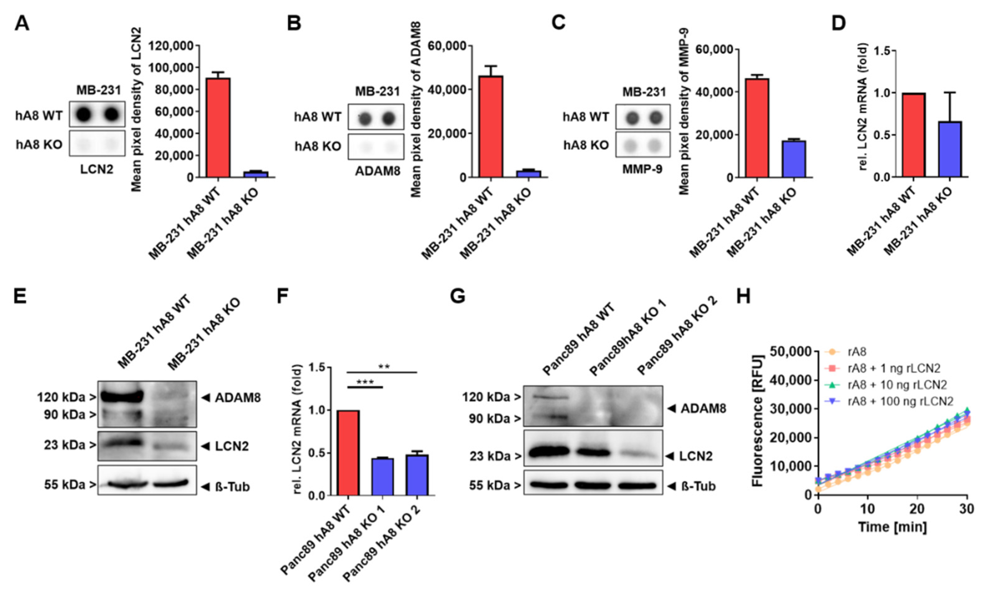 Ijms 23 01976 g002 550