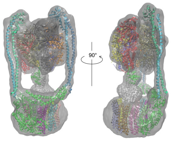Application of Homology Modeling by Enhanced Profile–Profile