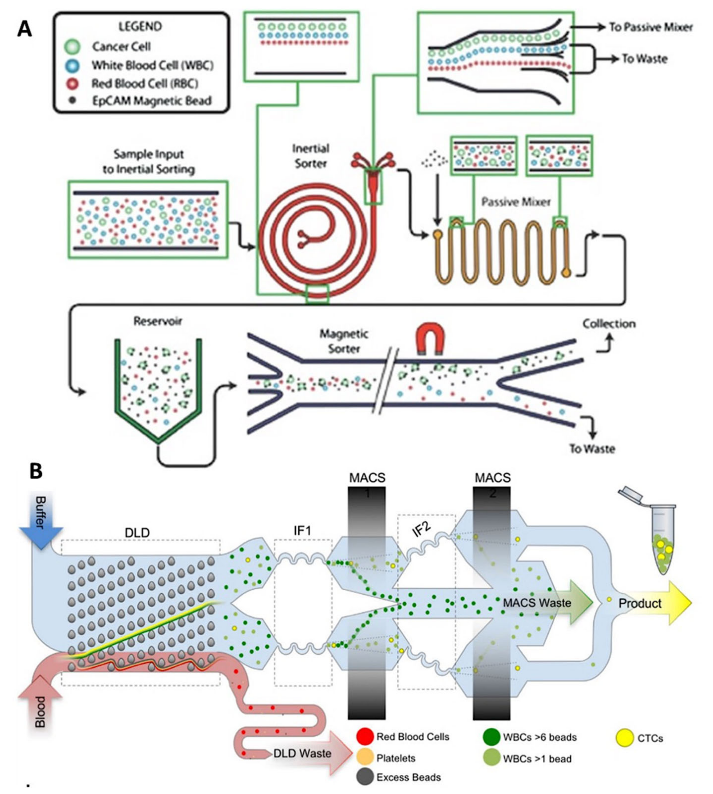 Ijms 23 01981 g012 550