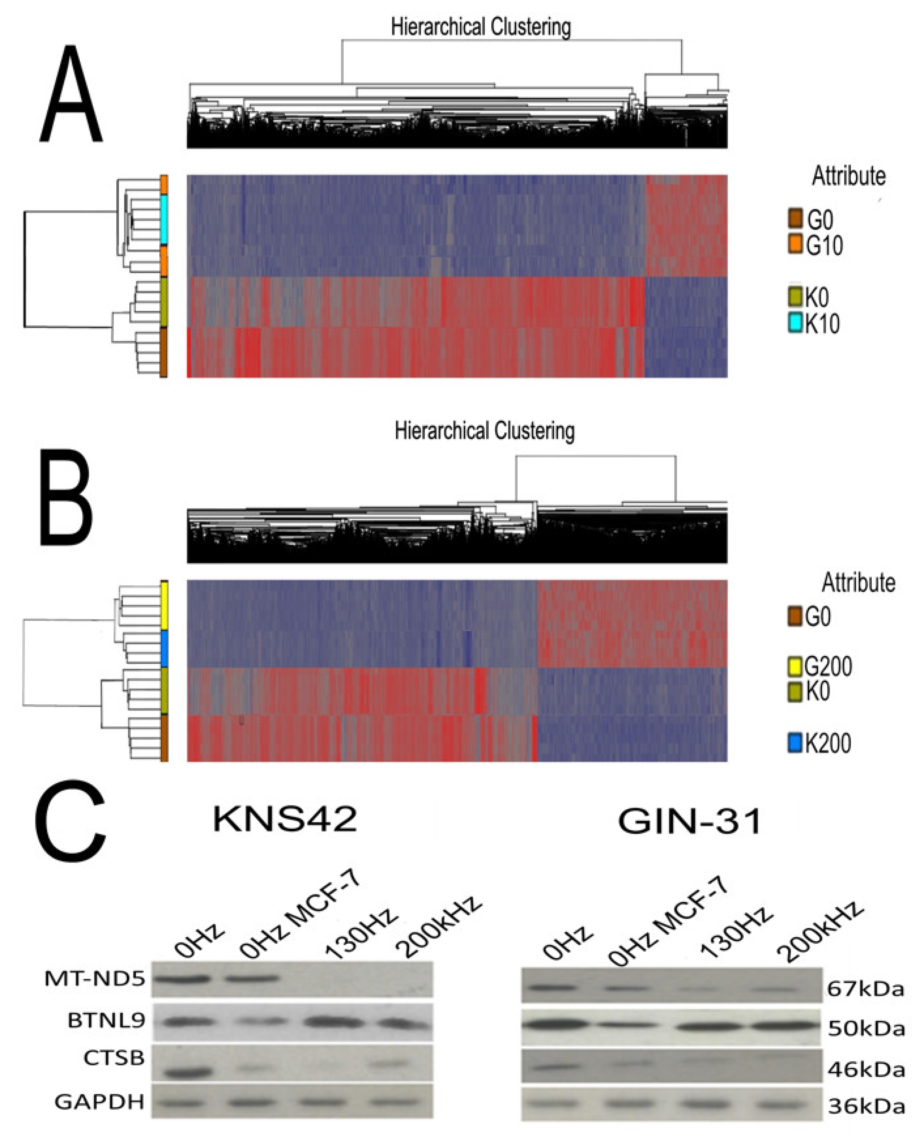 Ijms 23 01982 g006 550