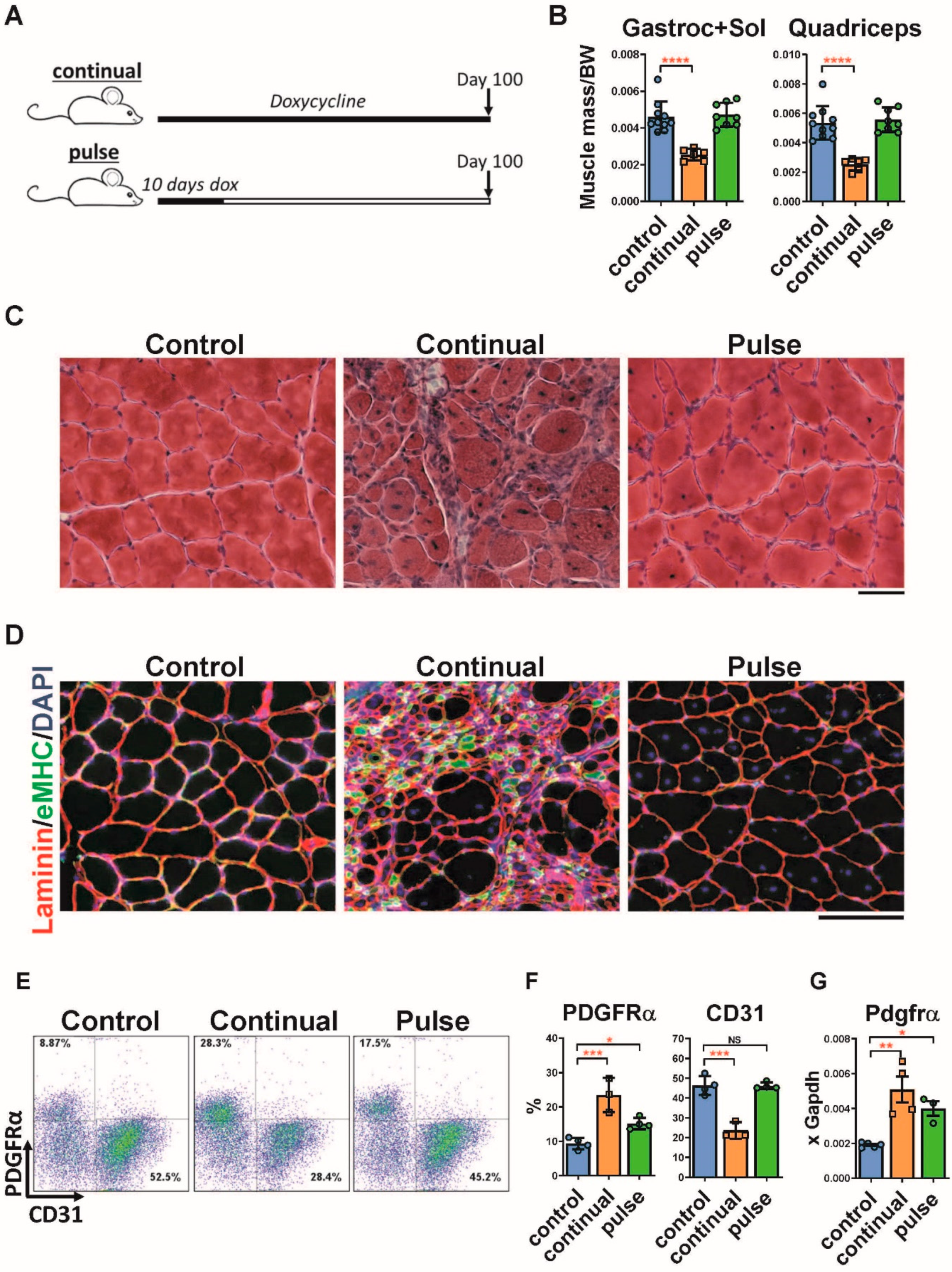 Ijms 23 01983 g001 550
