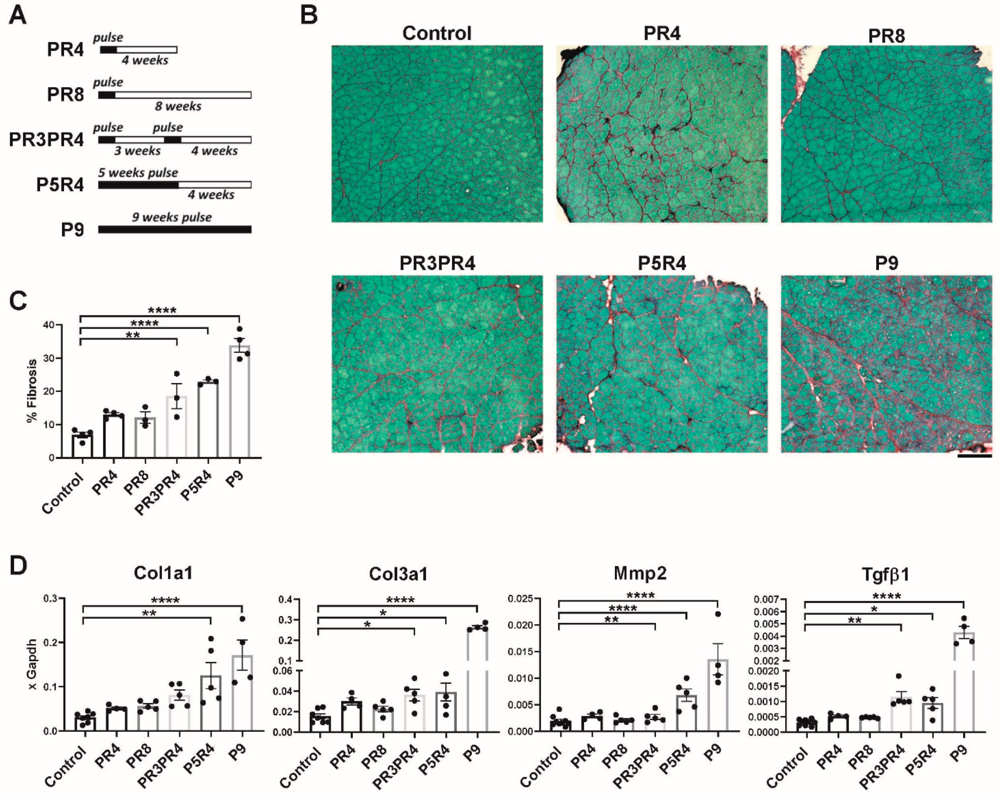 Ijms 23 01983 g003 550