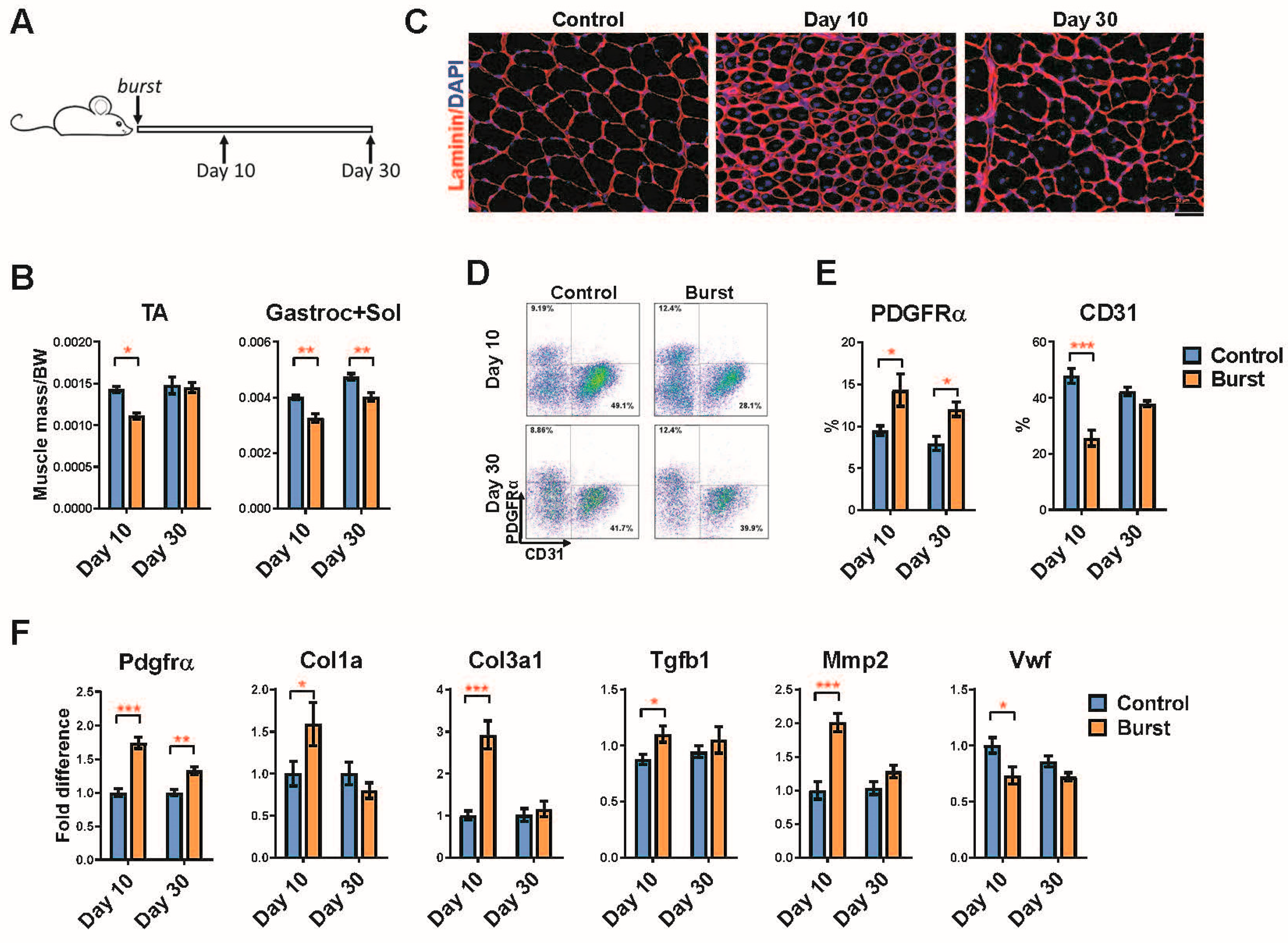 Ijms 23 01983 g004 550