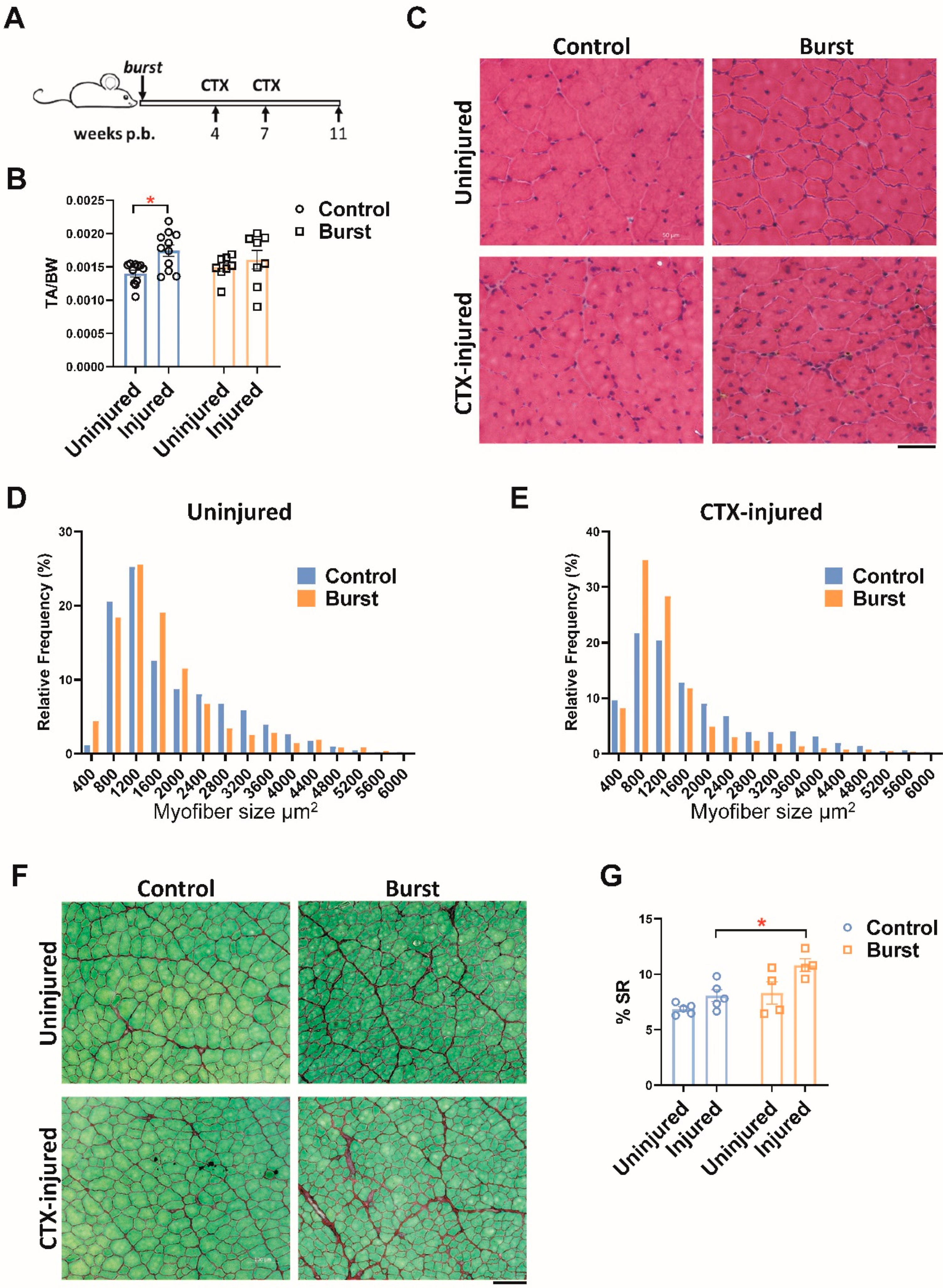 Ijms 23 01983 g005 550
