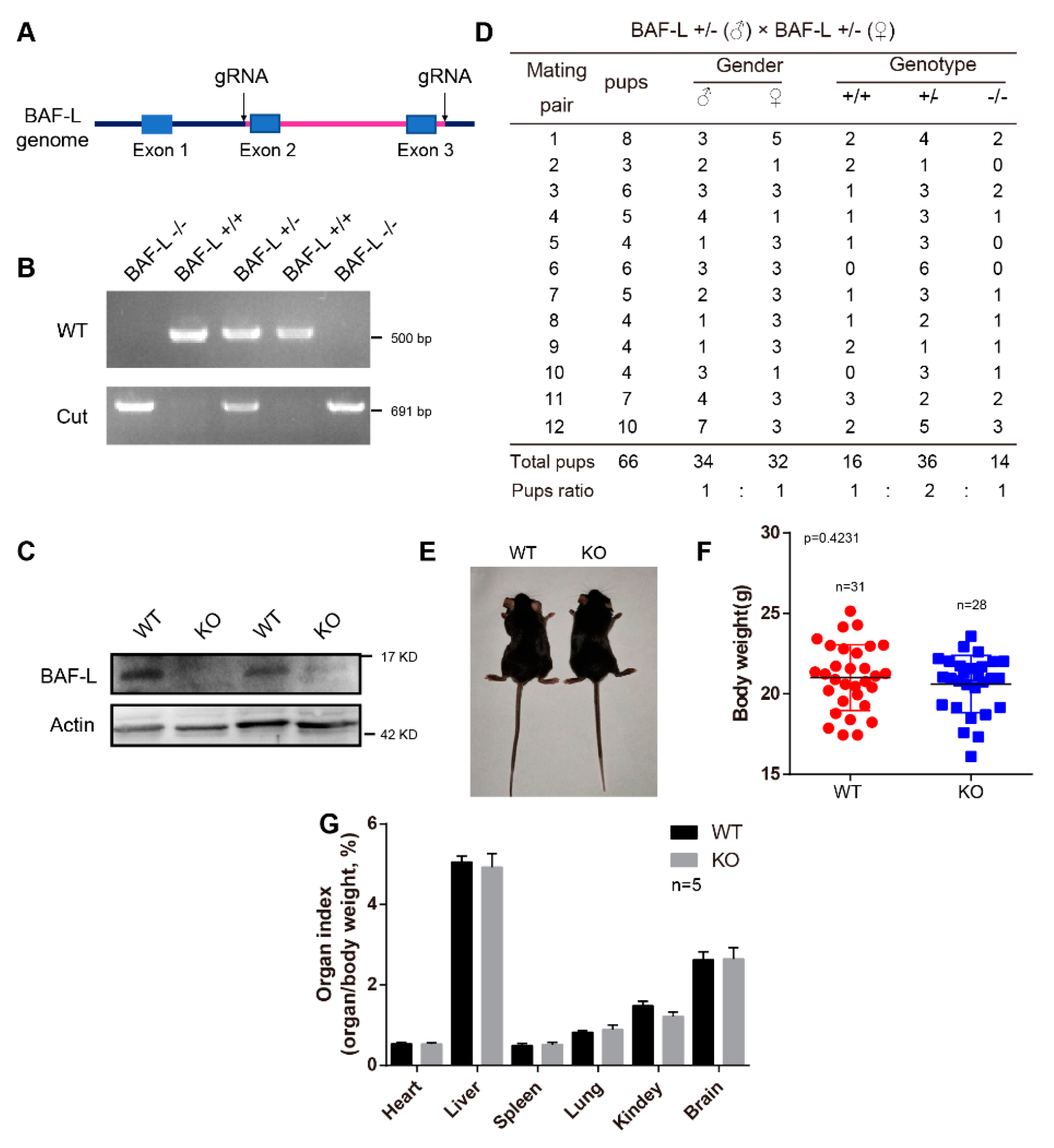 Ijms 23 01985 g003 550