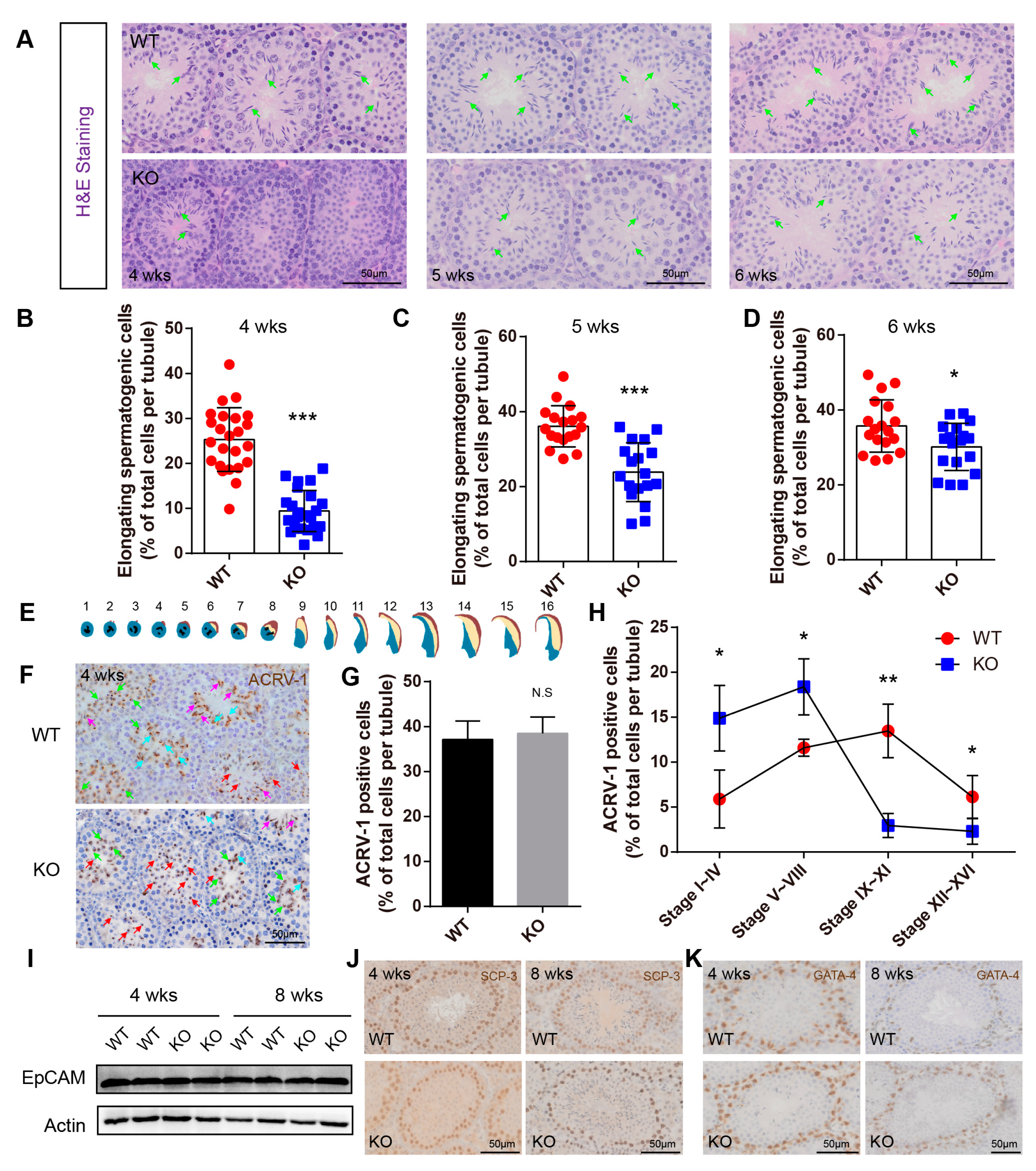 Ijms 23 01985 g005 550