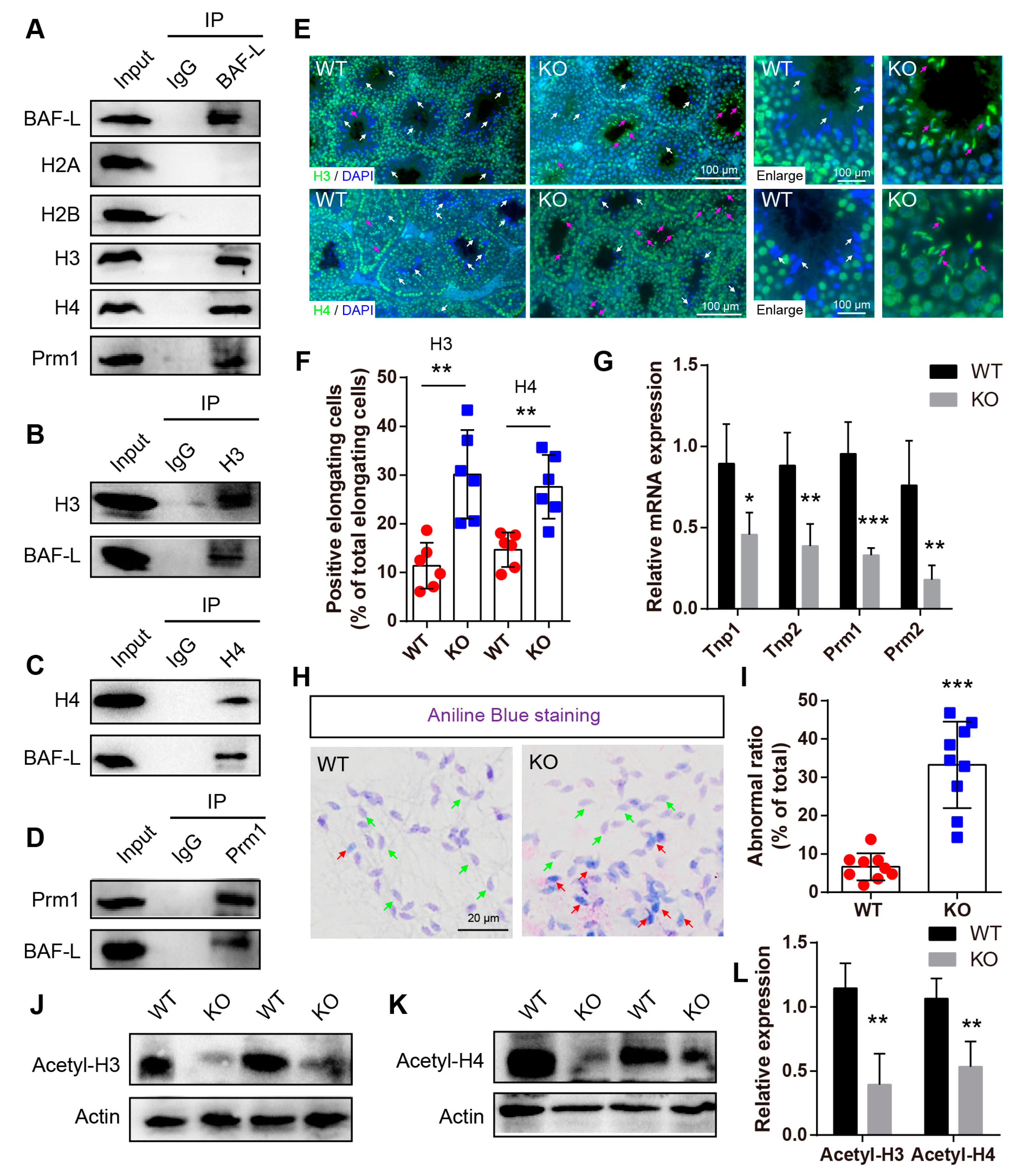 Ijms 23 01985 g006 550