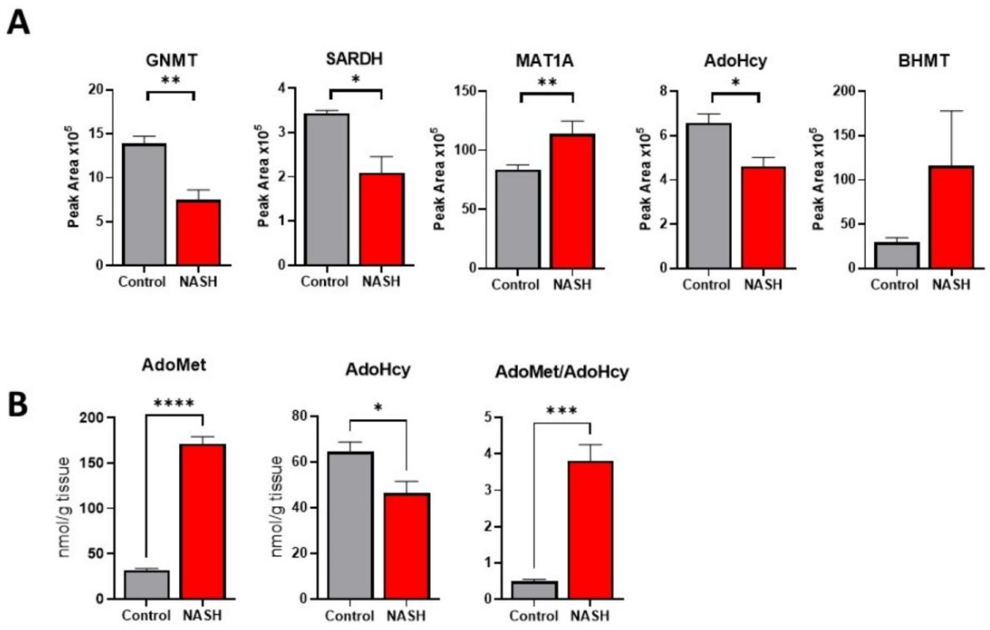 Ijms 23 01986 g005 Ijms 23 01986 g005