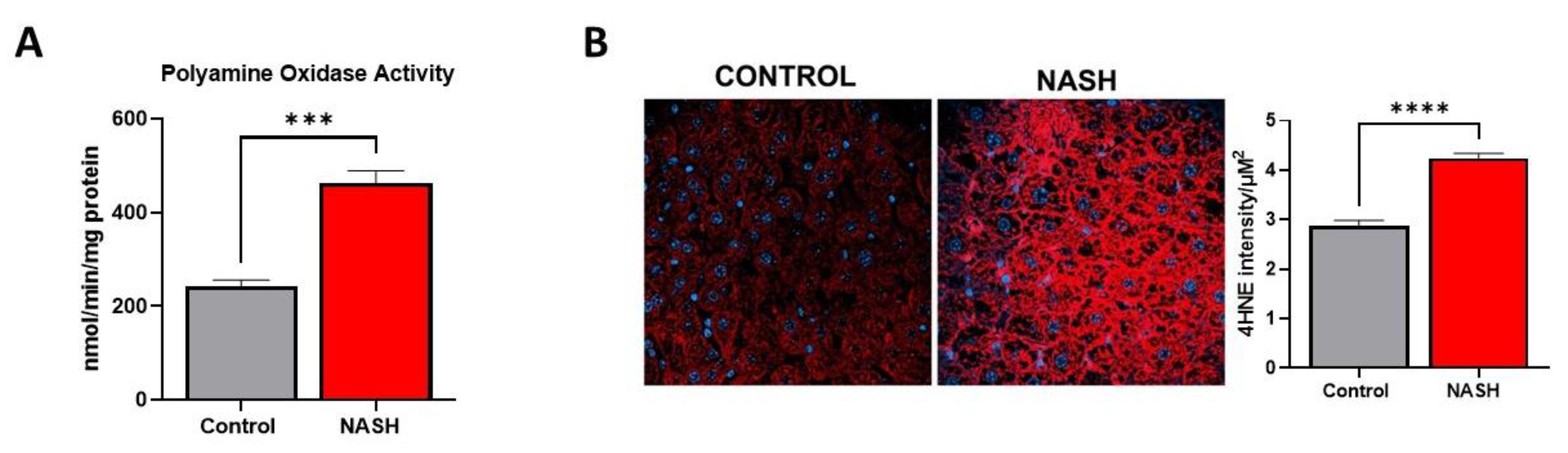 Ijms 23 01986 g007 Ijms 23 01986 g007